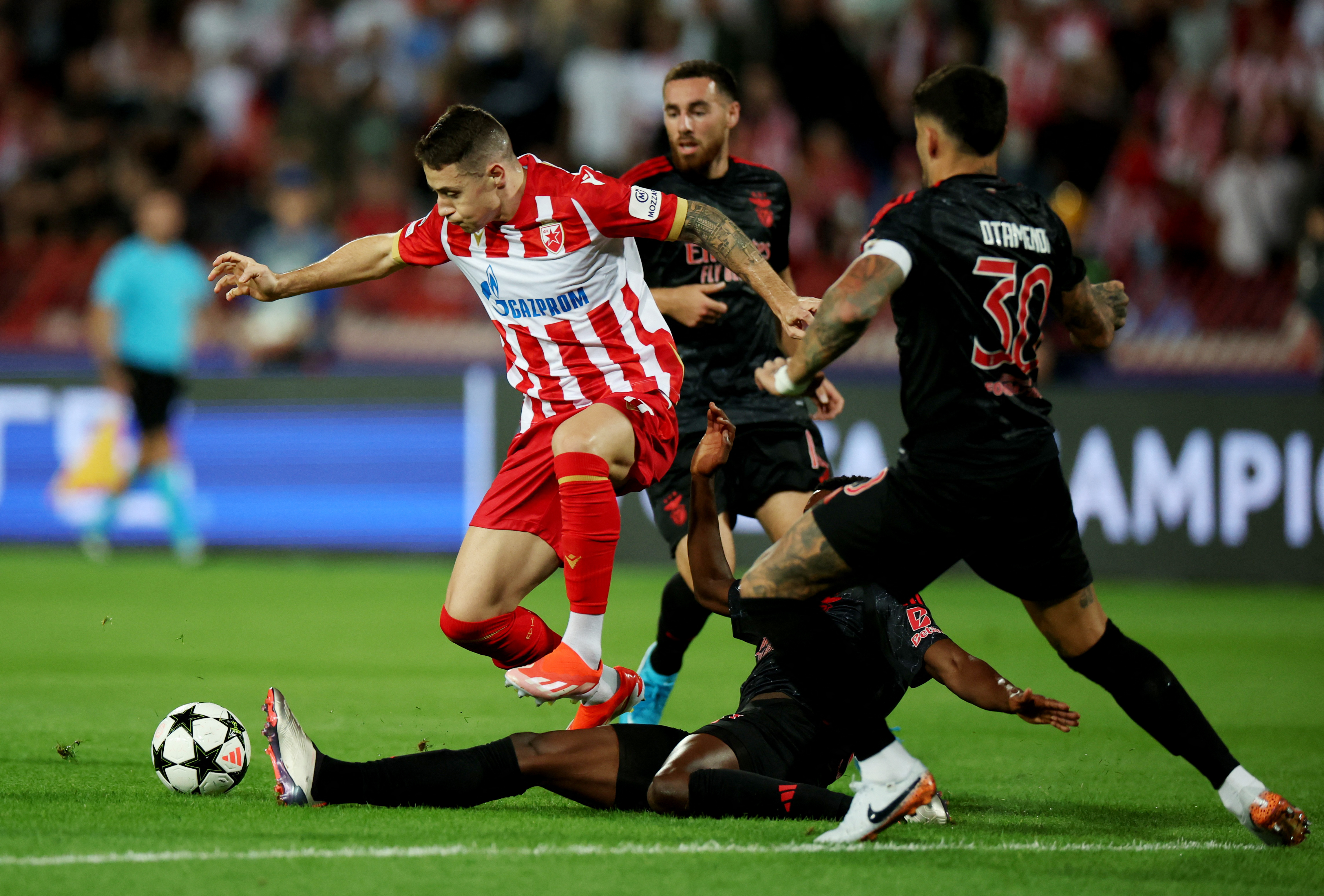 Soccer Football - Champions League - Crvena Zvezda v Benfica - Rajko Mitic Stadium, Belgrade, Serbia - September 19, 2024 Crvena Zvezda's Bruno Duarte in action with Benfica's Florentino Luis REUTERS/Marko Djurica