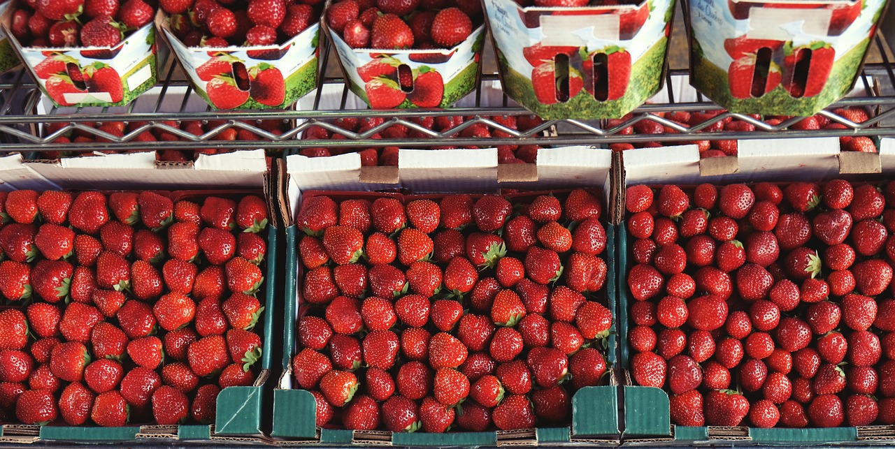 Want a huge crop of giant strawberries? Try this simple homemade fertilizer  - AS USA