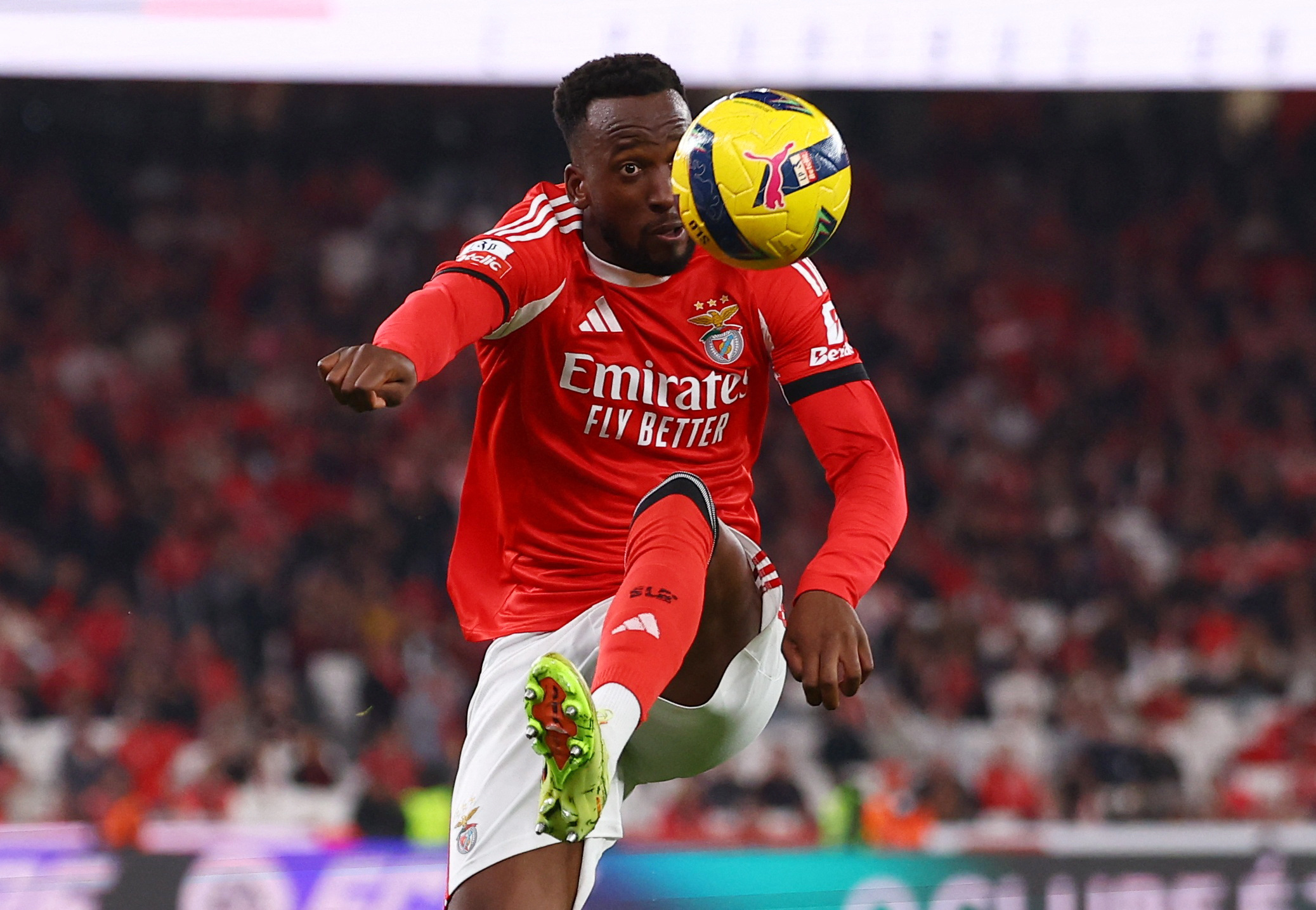 Soccer Football - Primeira Liga - Benfica v Casa Pia - Estadio da Luz, Lisbon, Portugal - November 9, 2025 Benfica's Dodi Lukebakio in action REUTERS/Pedro Nunes