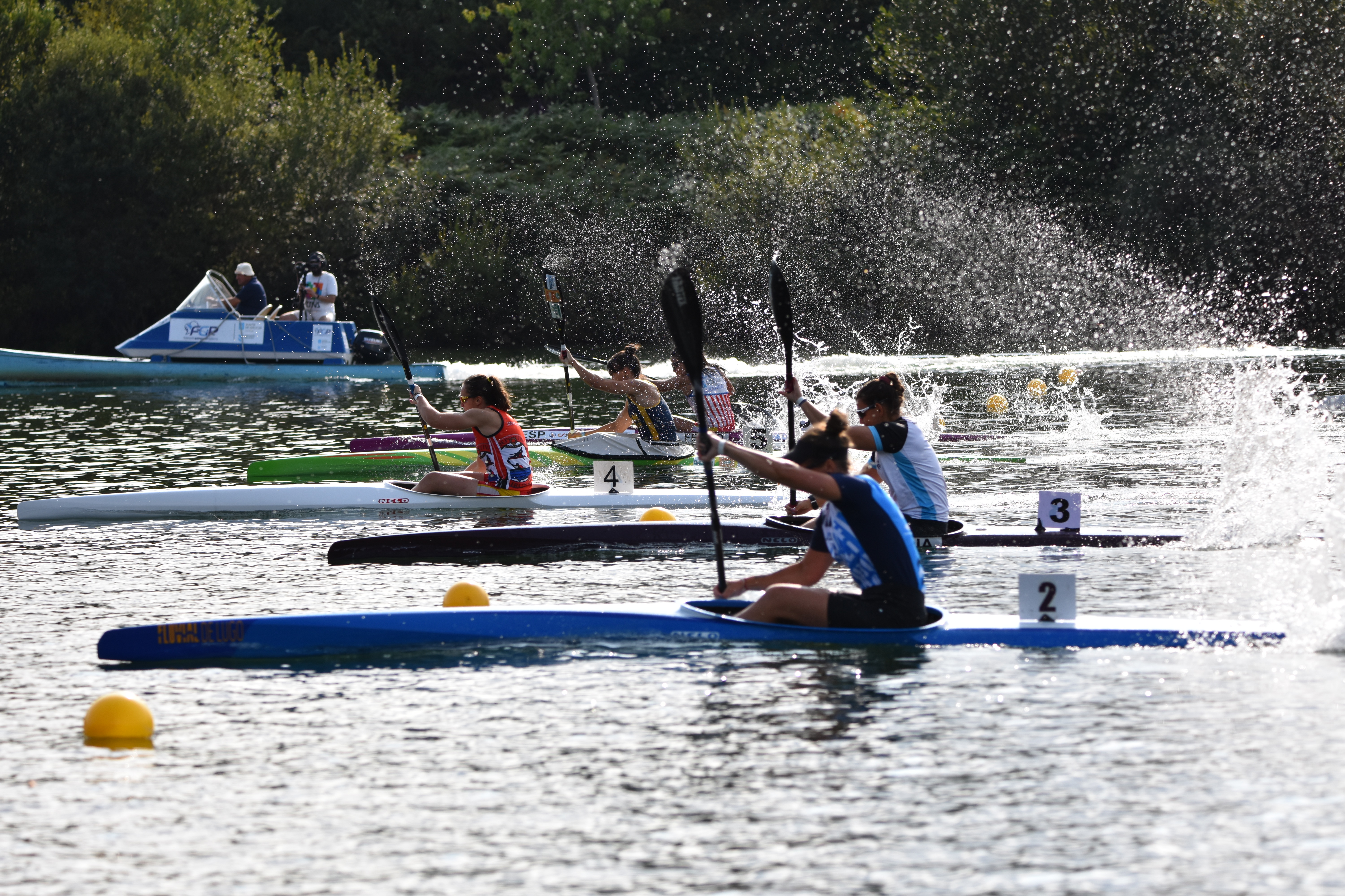 Justicia con las federaciones