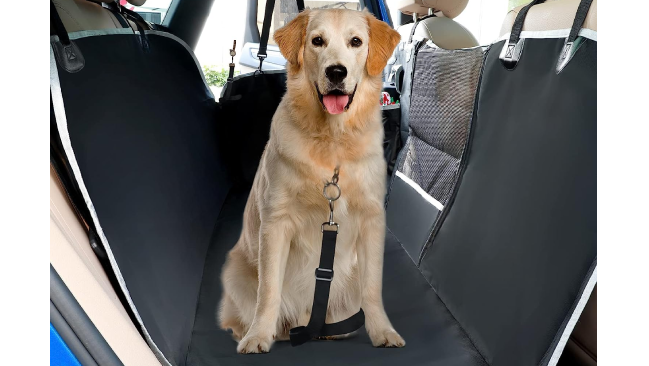 El cubreasientos de coche para perros para viajar más cómodo en verano -  Showroom