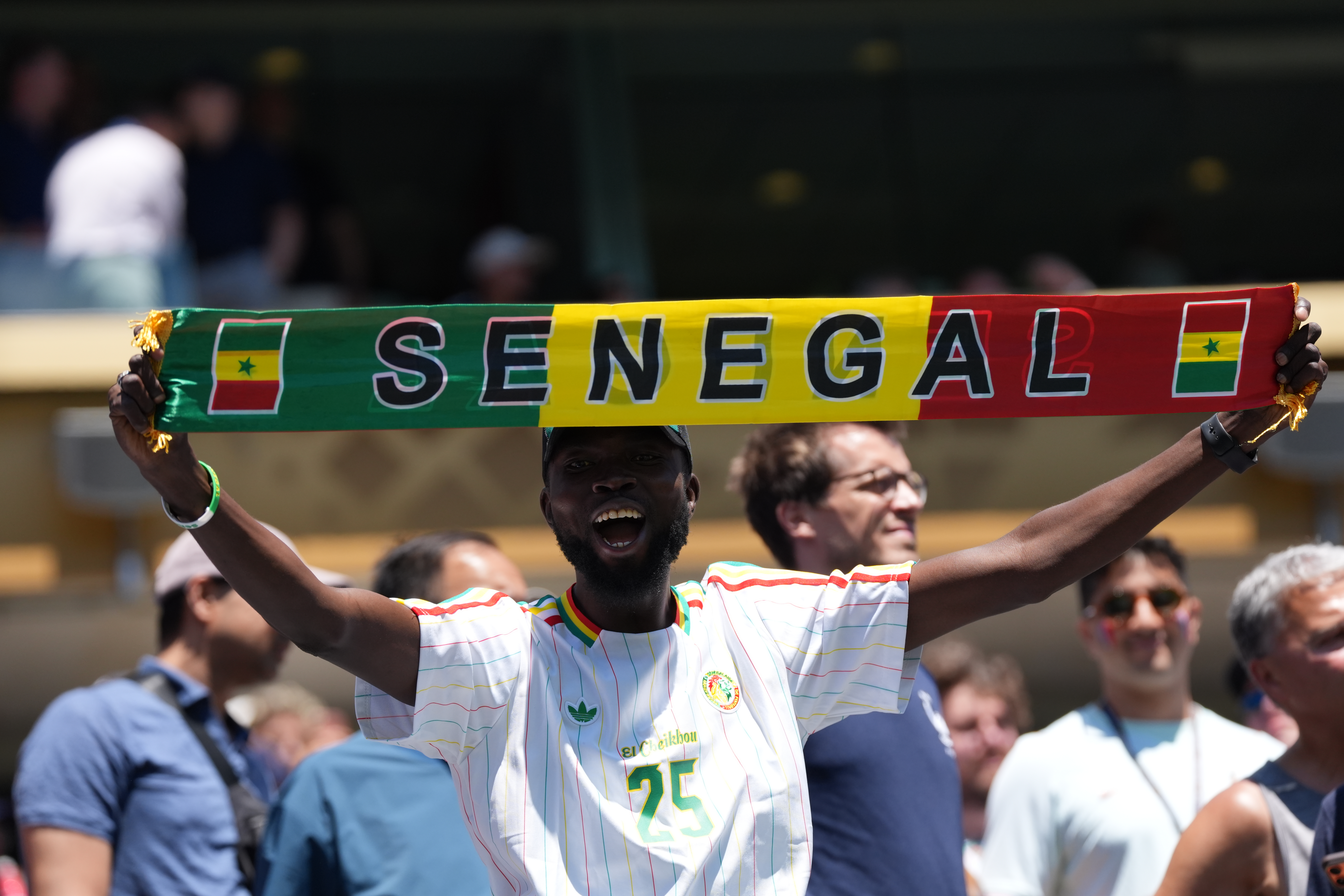 Senegal fans