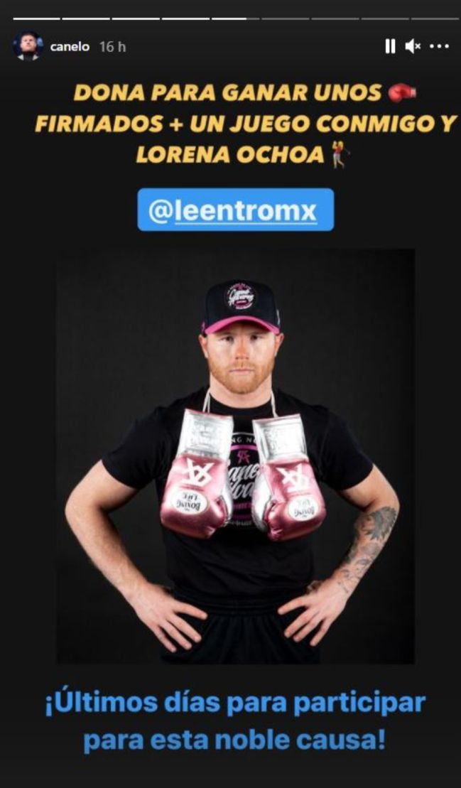 Este estudio perfeccionará su congreso de karlsruhe: lea o se pierda