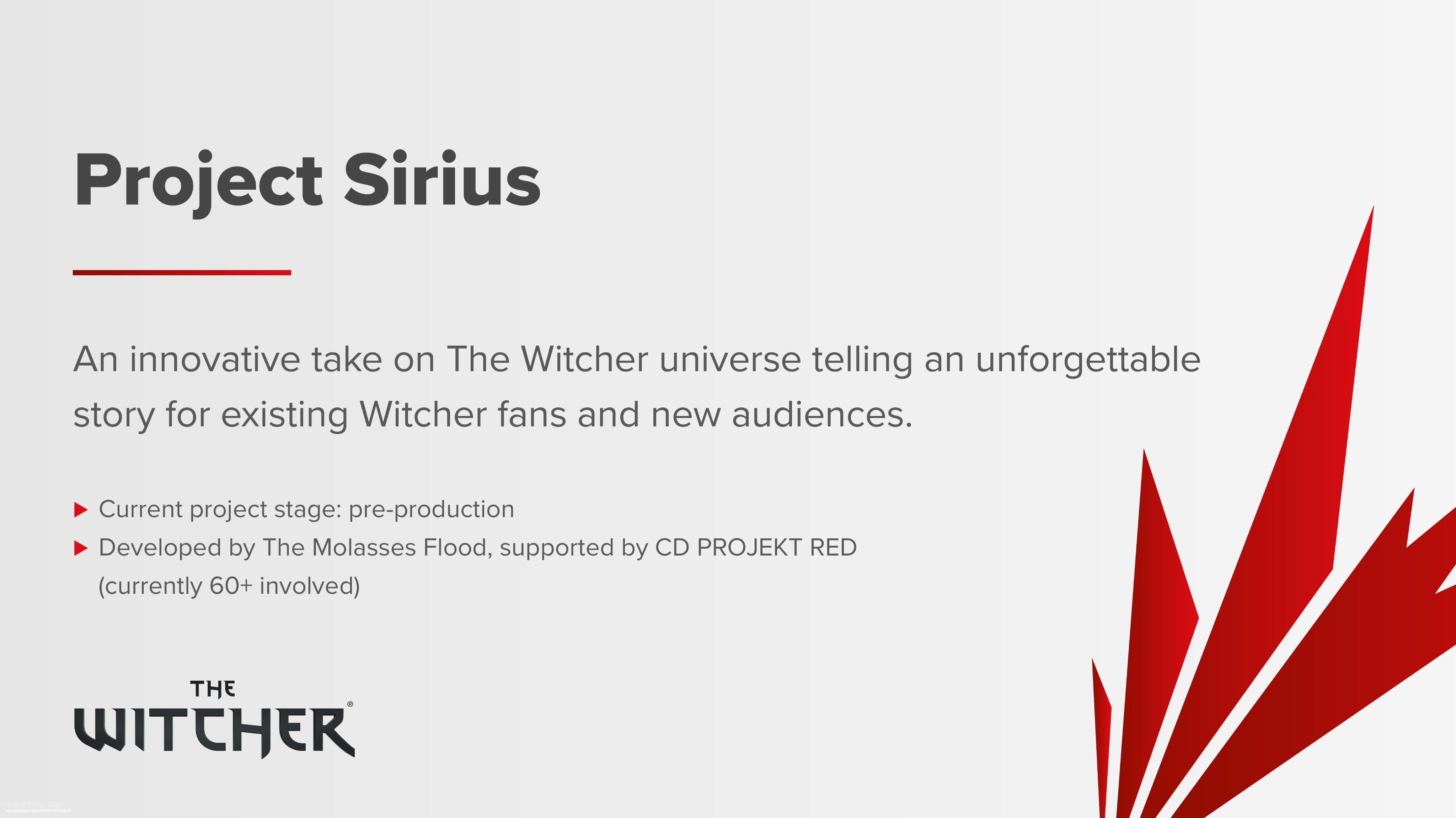The Witcher 1 Remake - Unreal Engine 5 Gameplay Engine, Development & The  Witcher 4 Details 