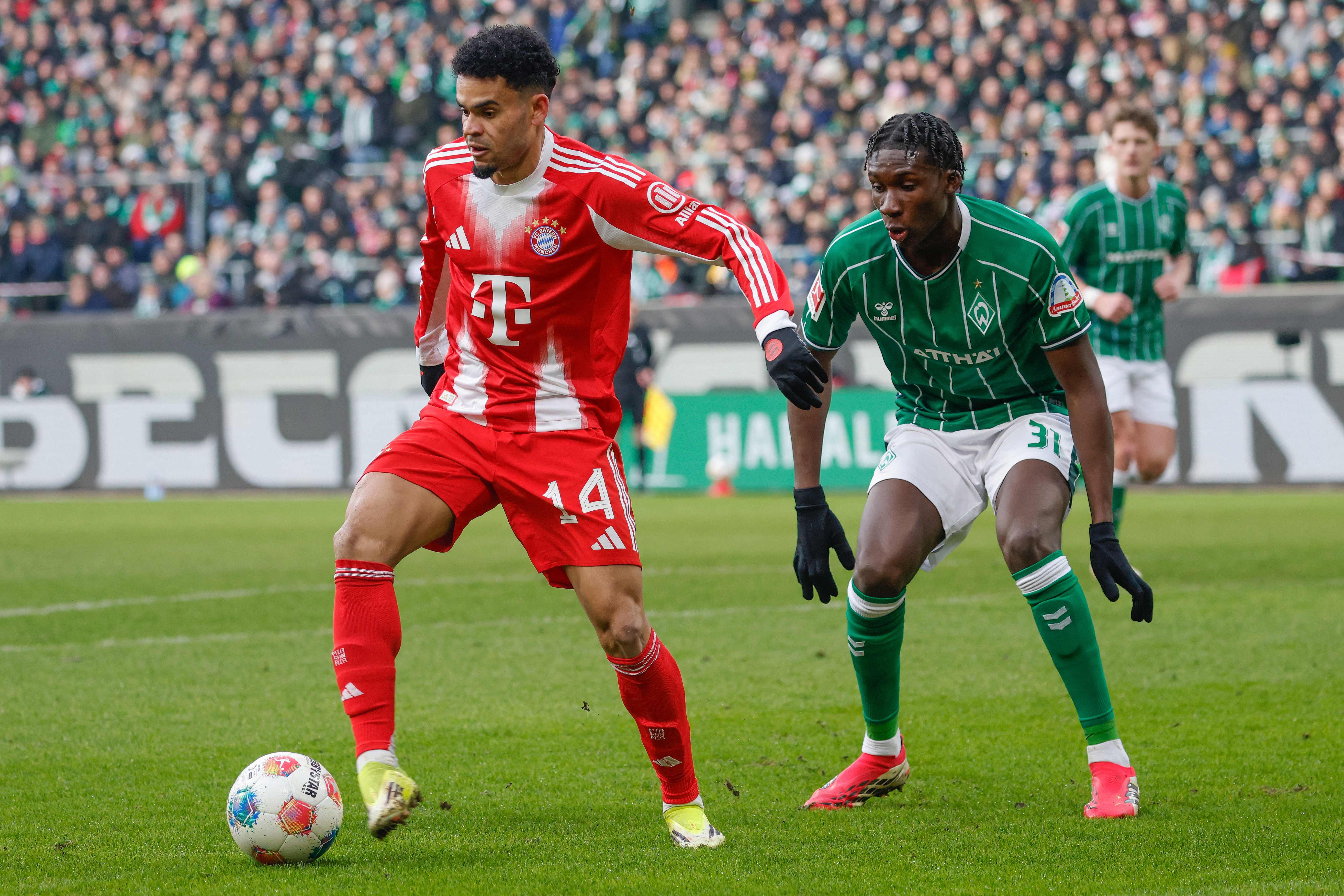 Bayern Munich's Colombian forward #14 Luis Diaz (L) and Bremen's German defender #31 Karim Coulibaly vie for the ball during the German first division Bundesliga football match between SV Werder Bremen and FC Bayern Munich in Bremen, northern Germany February 14, 2026. (Photo by Focke Strangmann / AFP) / DFL REGULATIONS PROHIBIT ANY USE OF PHOTOGRAPHS AS IMAGE SEQUENCES AND/OR QUASI-VIDEO