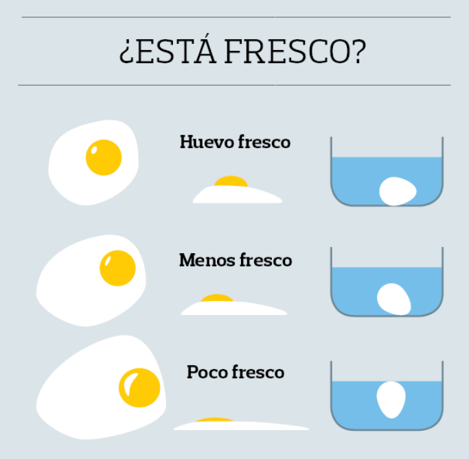 Frivillig maskulinitet Lade være med El truco para saber si un huevo es fresco sin abrirlo - AS.com