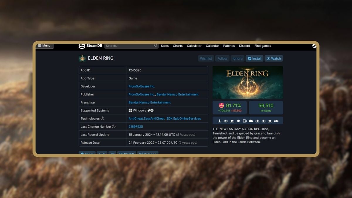 Elden Ring just got its first update of 2024, and it's a very well-received  one - Meristation