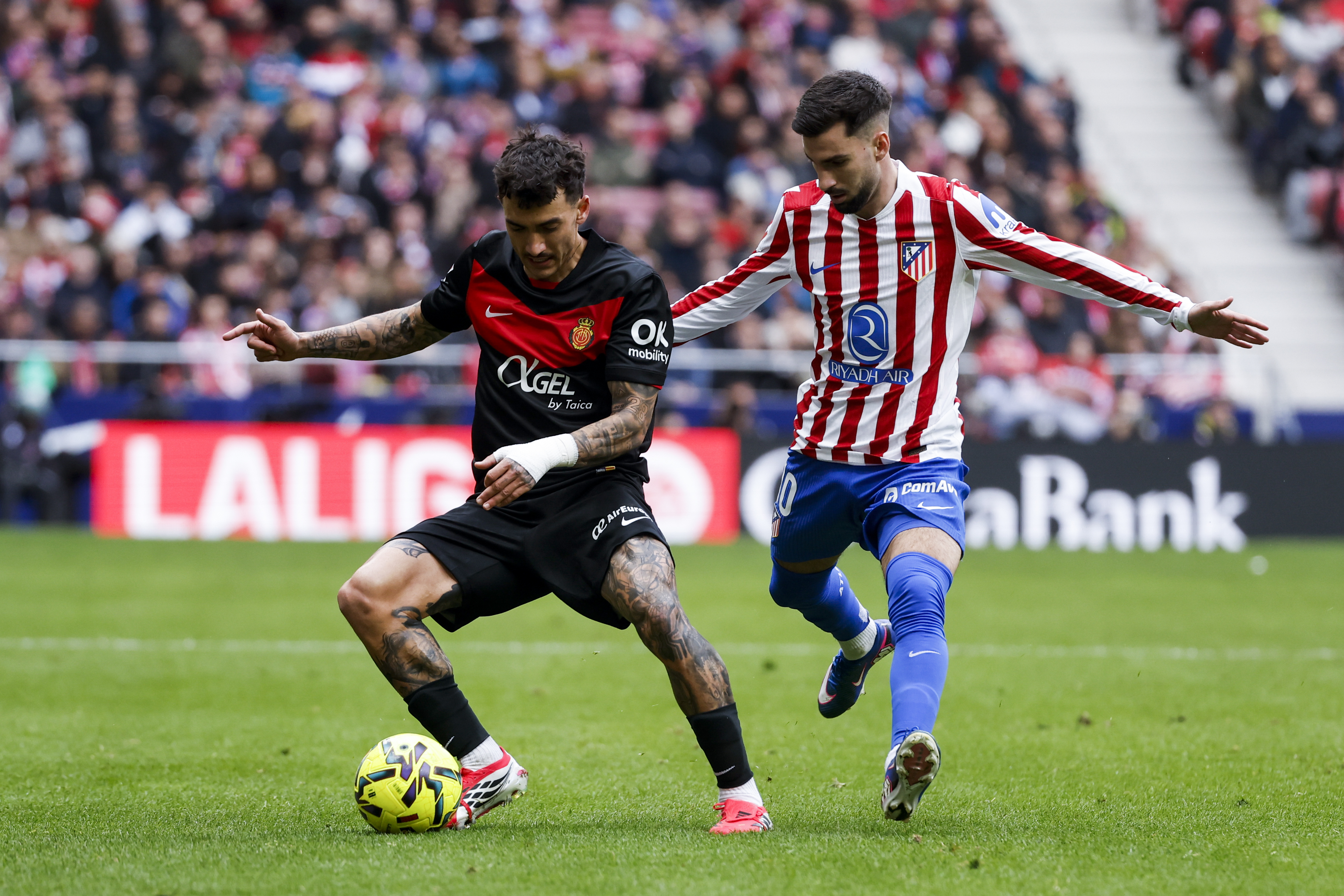 25/01/25 PARTIDO PRIMERA DIVISION
ATLETICO DE MADRID - MALLORCA
ANTONIO SANCHEZ
