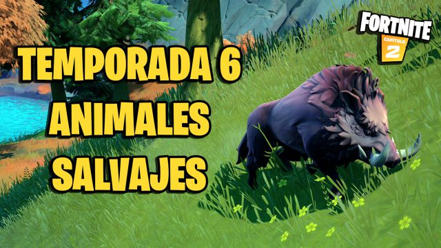 Cómo cazar animales salvajes y dónde encontrarlos en Fortnite Temporada 6?  - Meristation