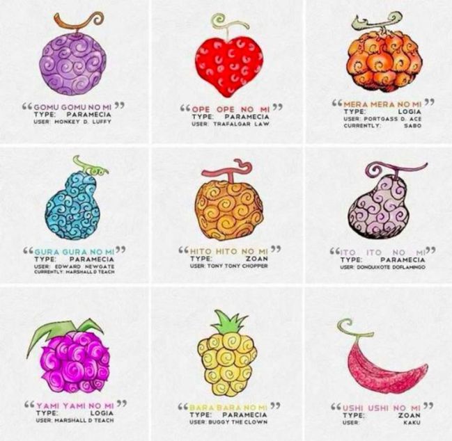 One Piece Wiki - DEVIL FRUITS Devil Fruits are