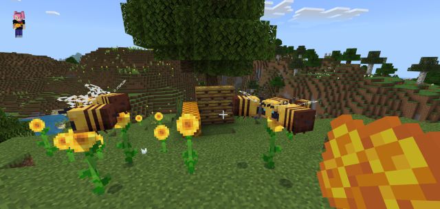 Panal de abejas en Minecraft: dónde encontrarlos y para qué sirven -  Meristation