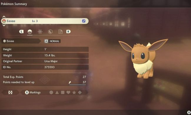 Where to find Eevee in Pokémon Legends Arceus and how to evolve it -  Meristation