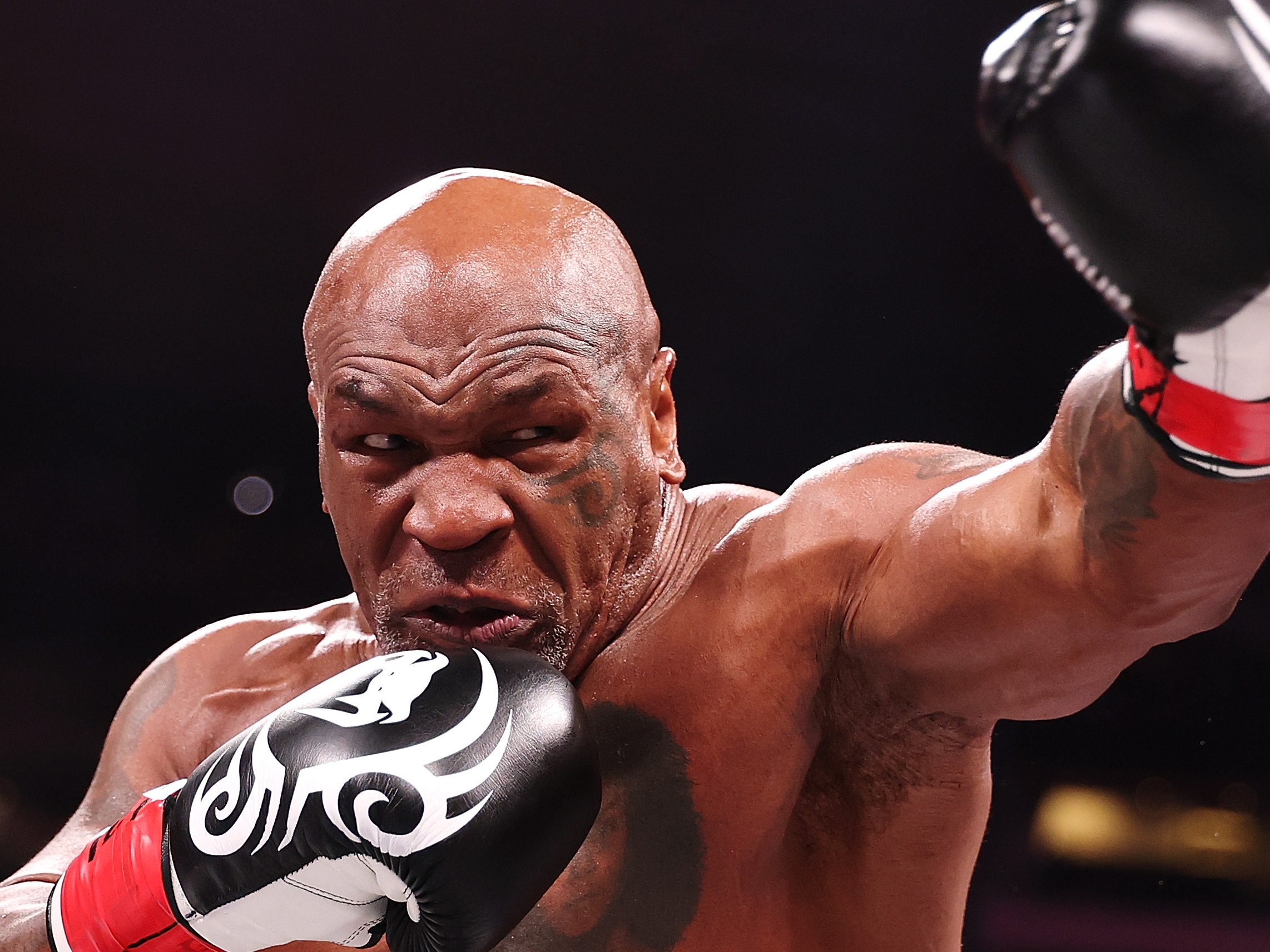 Su regreso al ring ha sido el mayor aliciente para que el boxeador volviera a la lista de las personas más buscadas del año. El 15 de noviembre en Arlington, Texas se enfrentó al youtuber Jake Paul. Tyson cayó derrotado por decisión unánime de los jueces.