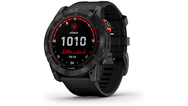 Garmin Mendoza  Forerunner 255