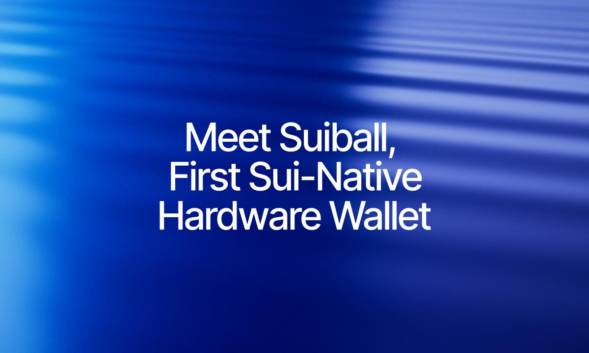 Citadel Launches SuiBall, the First Sui-Native Hardware Wallet – DL News