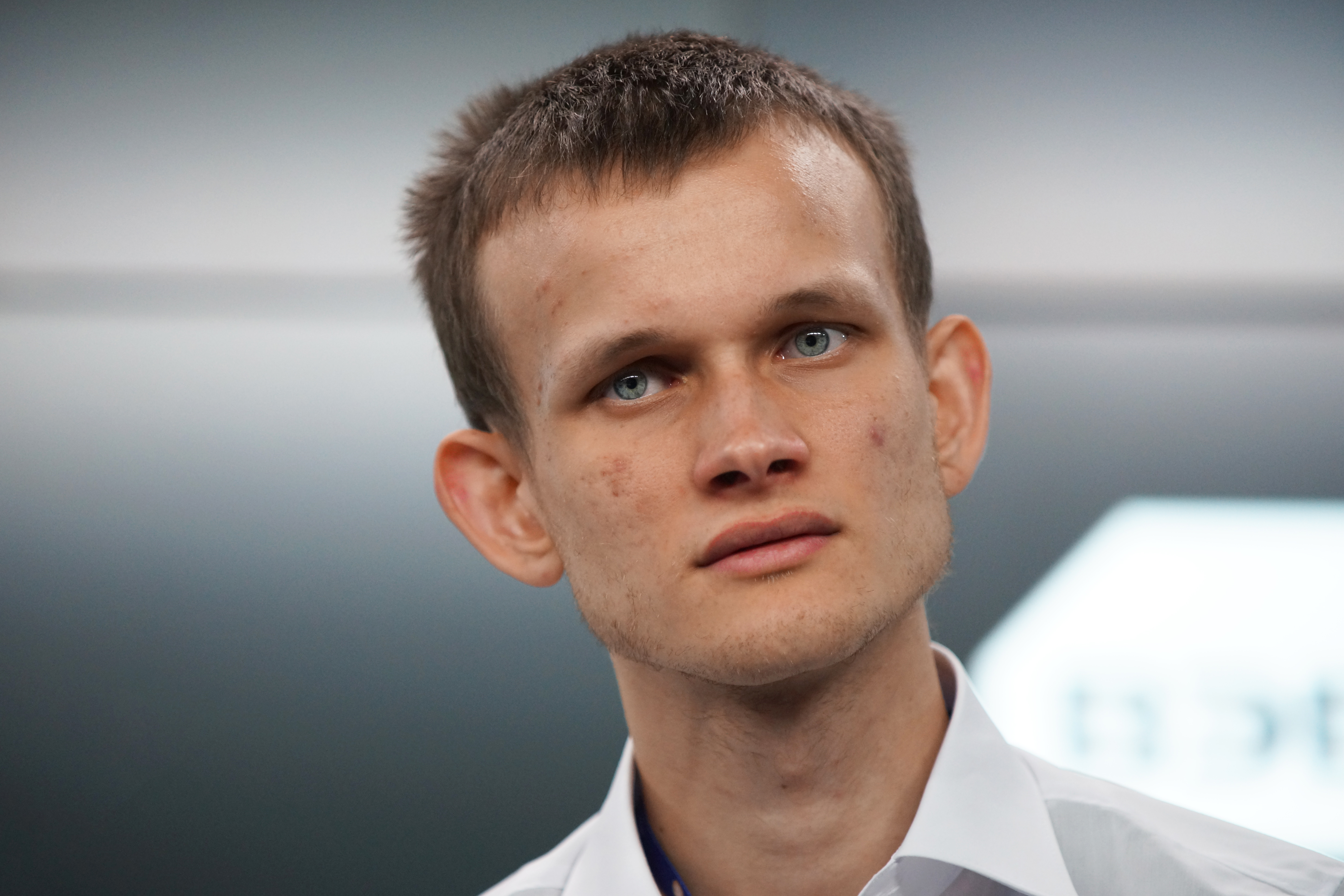 Vitalik buterin cat meme coin (73) 사진