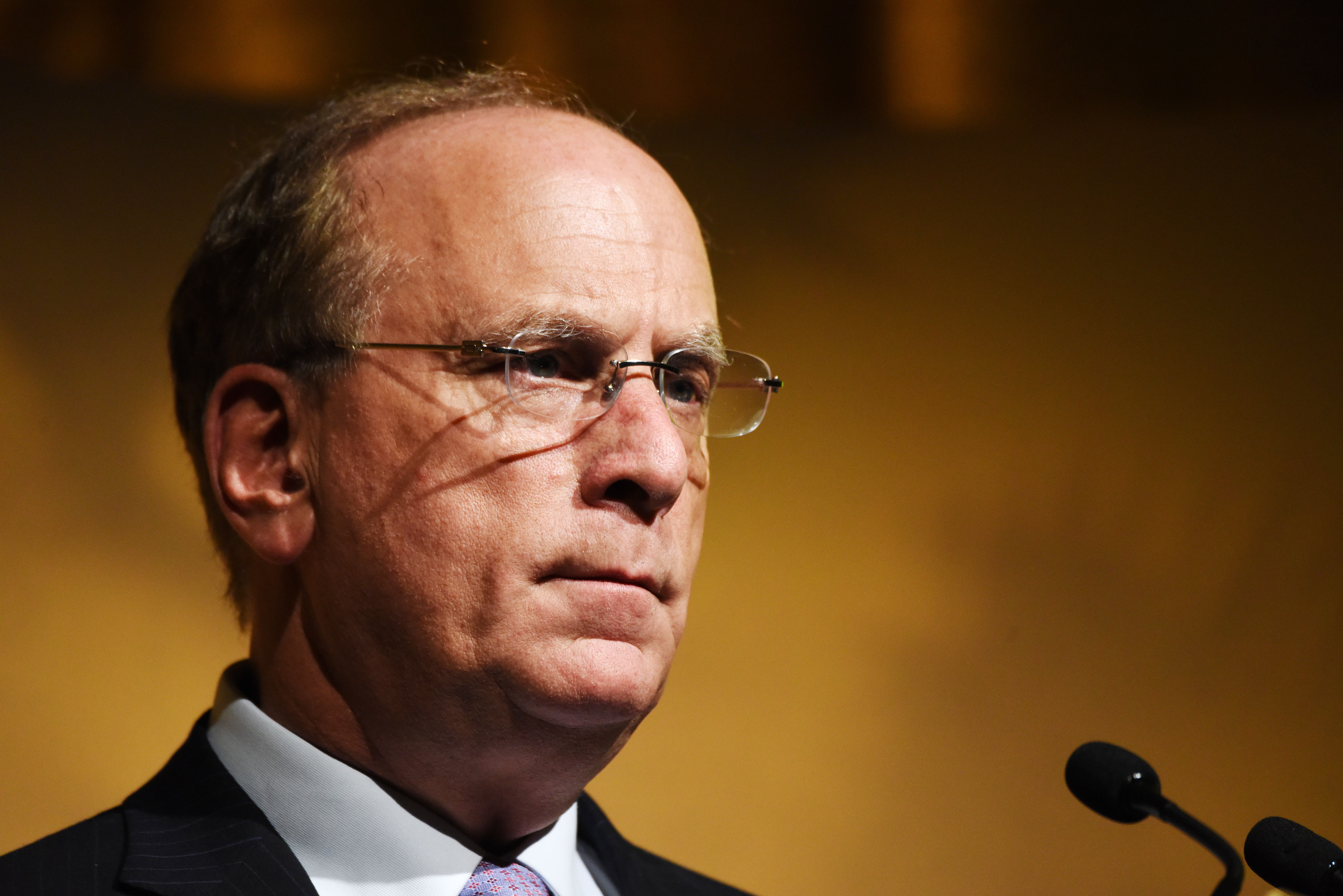 Why BlackRock CEO Larry Fink warns Bitcoin risks overtaking the US dollar –  DL News