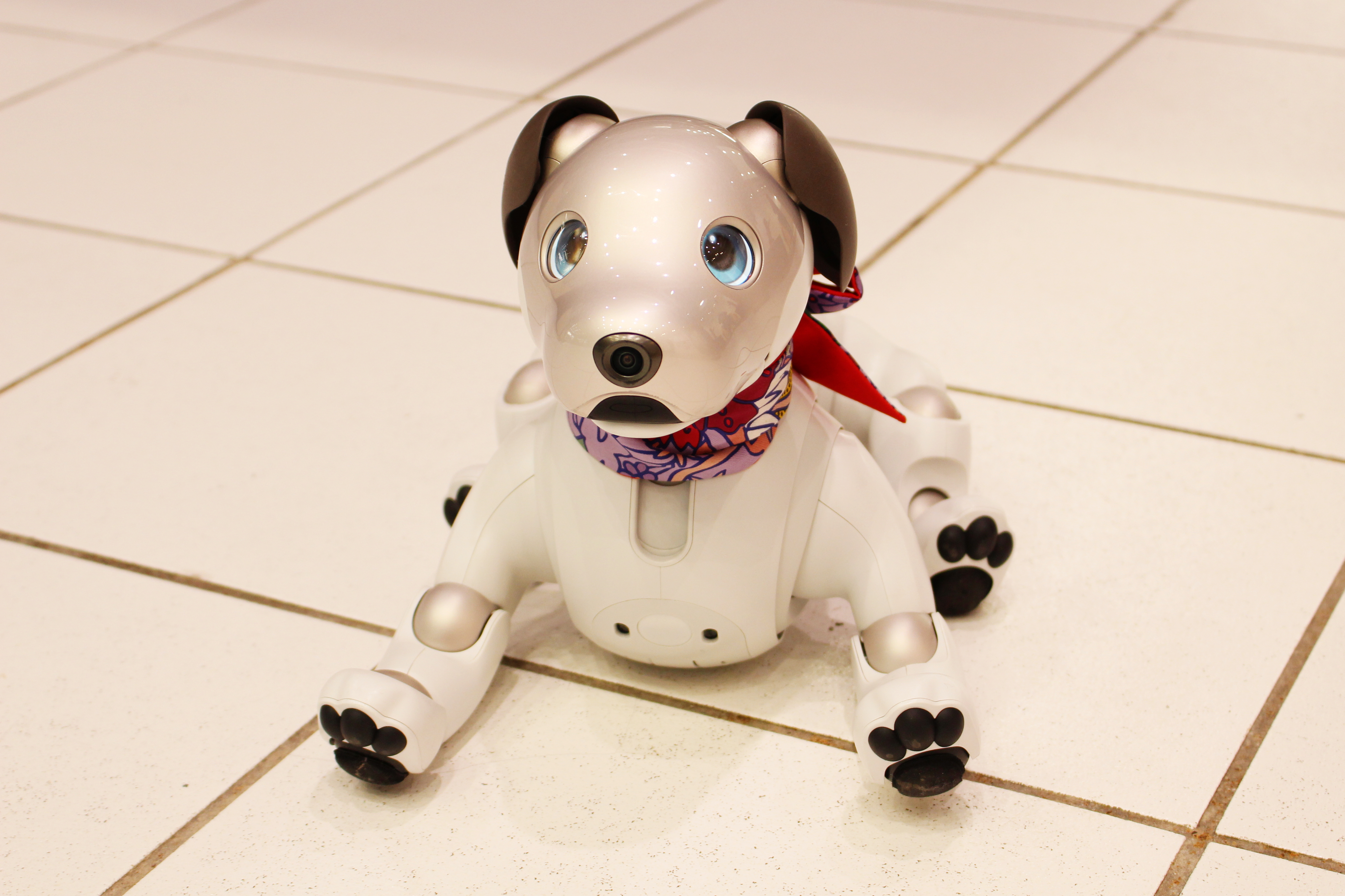 Traders seethe after Sony freezes memecoins on its new blockchain – DL News