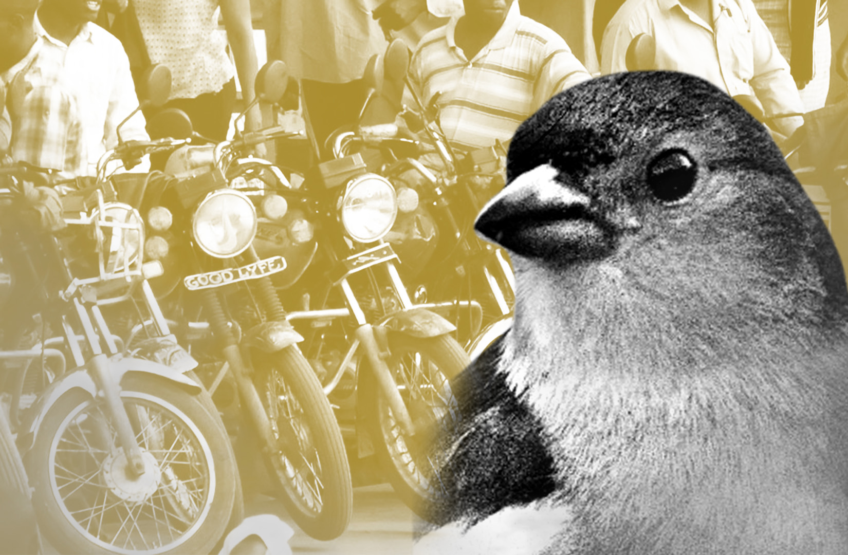 Real-world assets protocol Goldfinch loses risk adviser – DL News