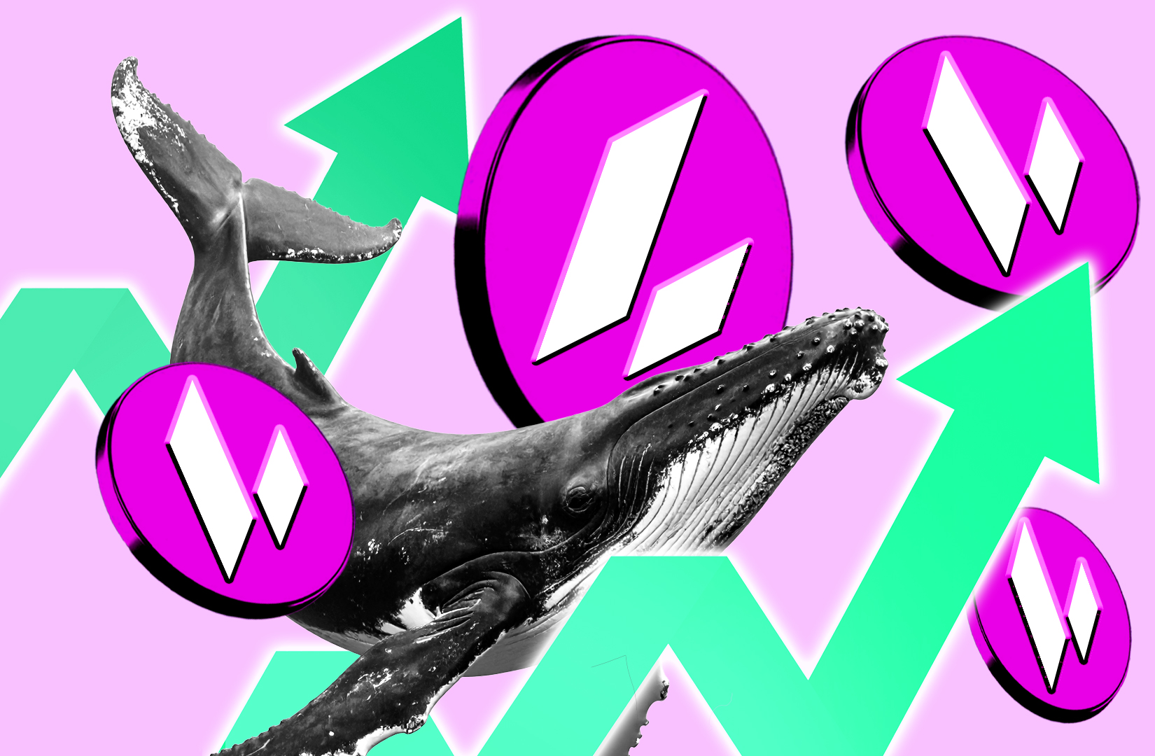 Lighter token bounces 37% as protocol begins buybacks and whales buy in –  DL News