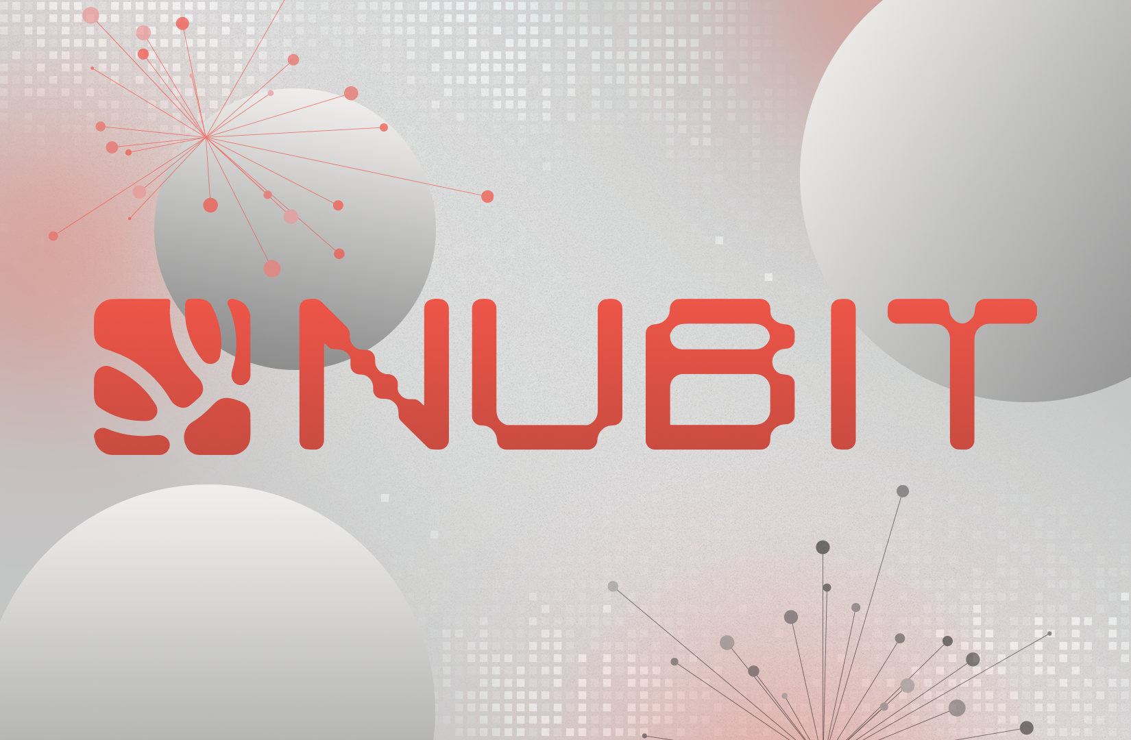 Polychain Capital Leads $8m Seed Round for Nubit to Revolutionise Blockchain  Scalability and Multi-Chain Ecosystems – DL News