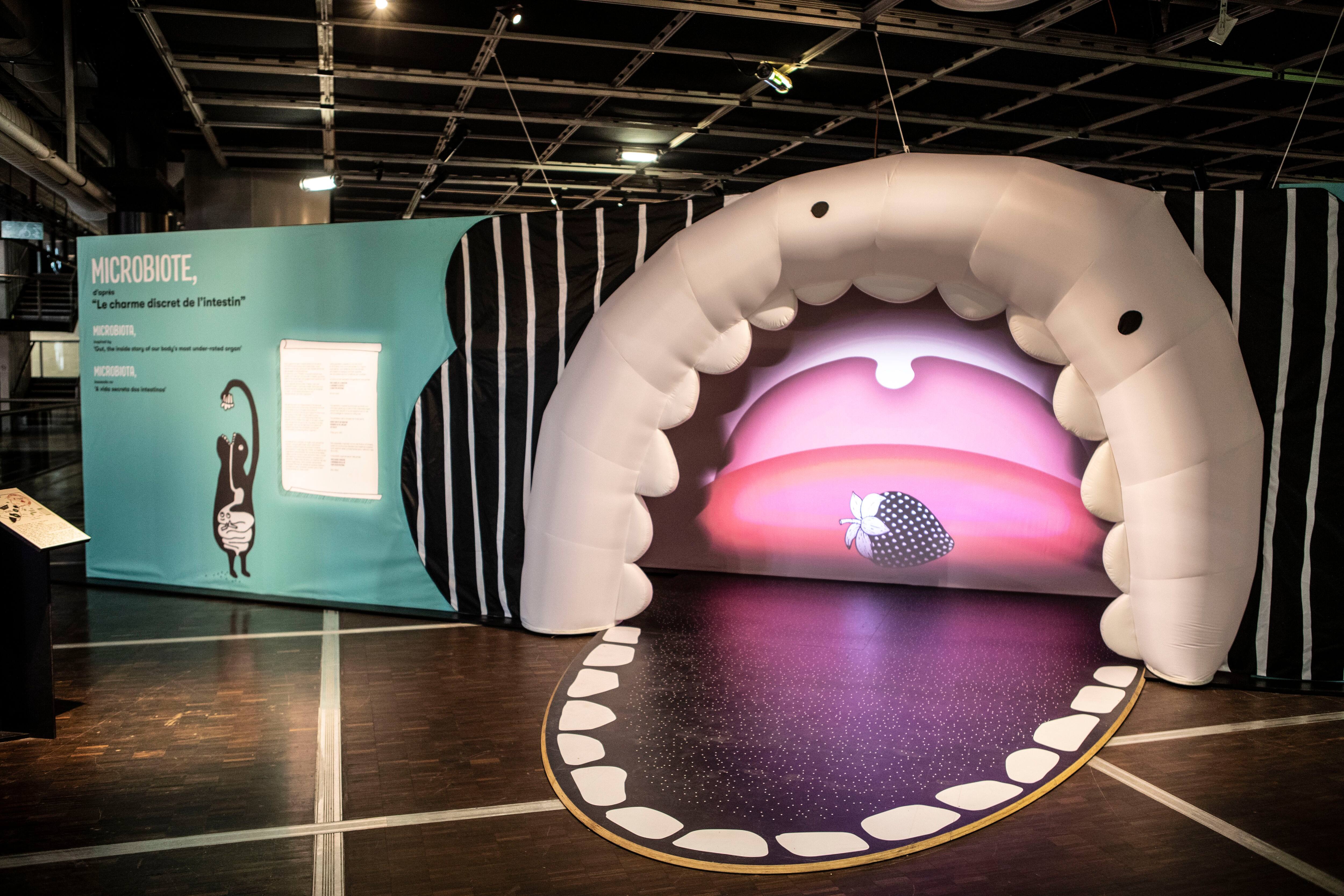 Le Charme Discret De L Intestin Poche Tout, tout, tout... vous saurez tout sur le microbiote. Une expo, d'après "Le  charme discret de l'intestin" - La Libre