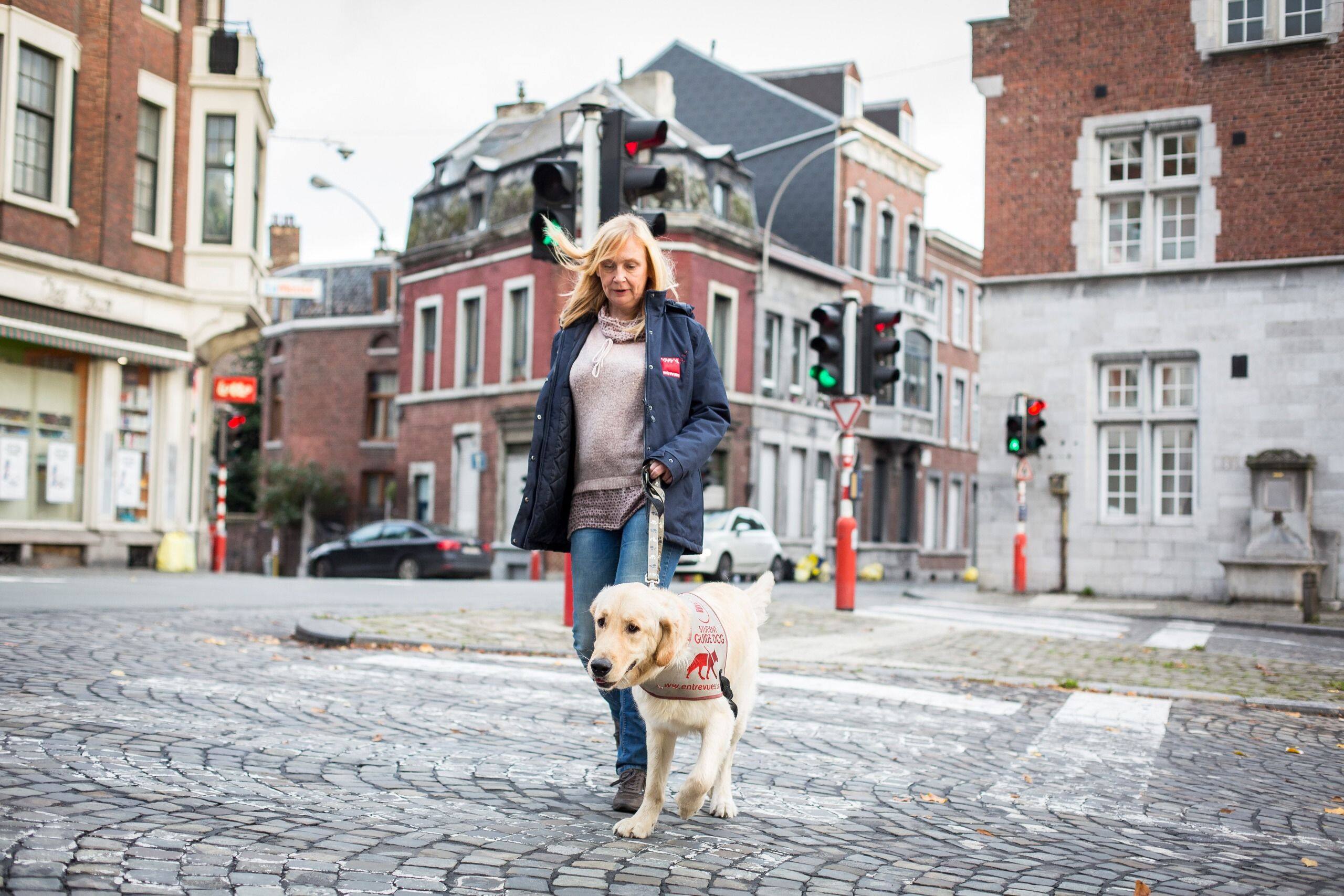 En Wallonie, les chiens du0027assistance sont désormais les bienvenus 