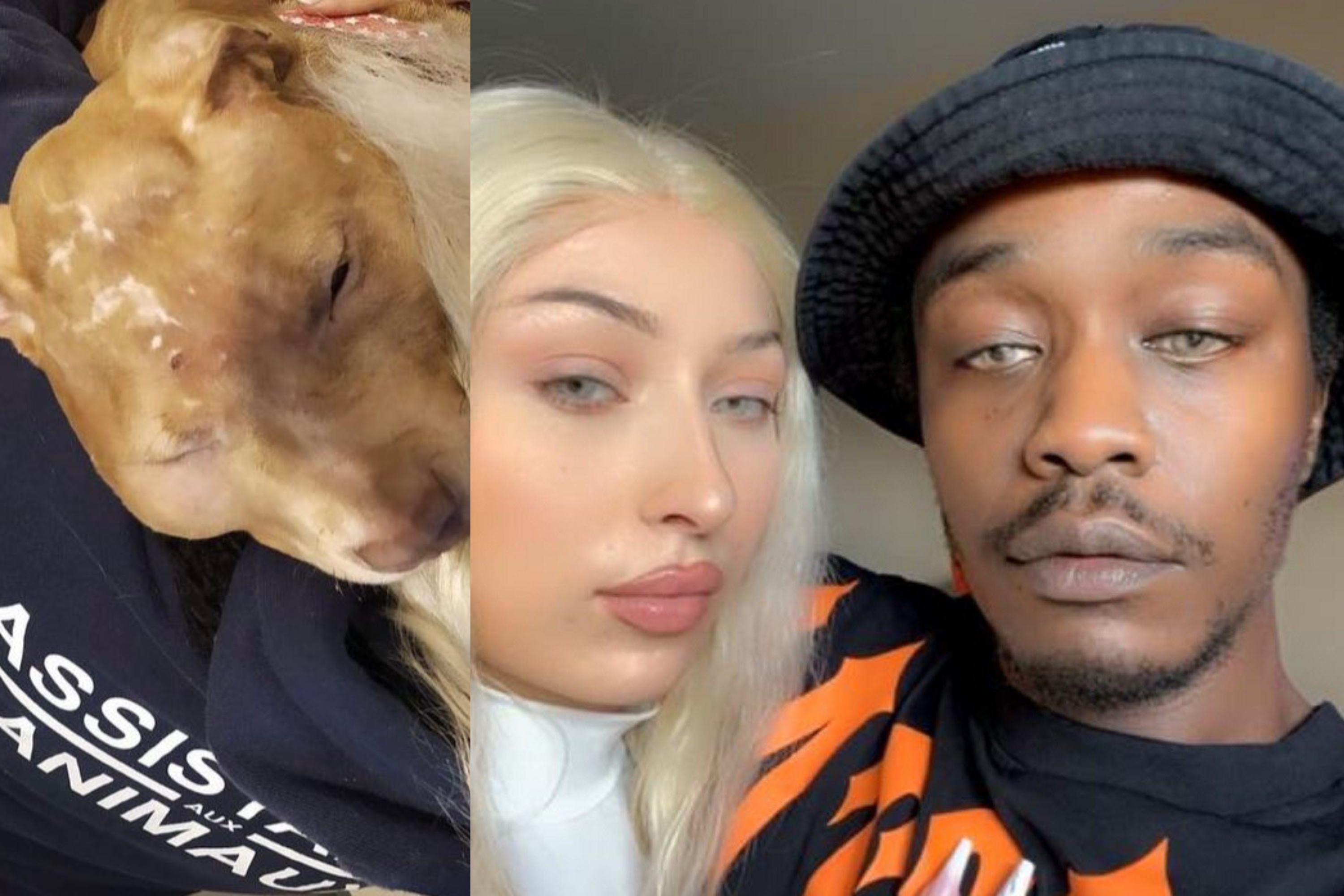 Le chien d'un couple d'influenceurs français retrouvé dans un piteux état :  “Ont-ils utilisé leurs poings, leurs pieds ou une arme ?” - La Libre