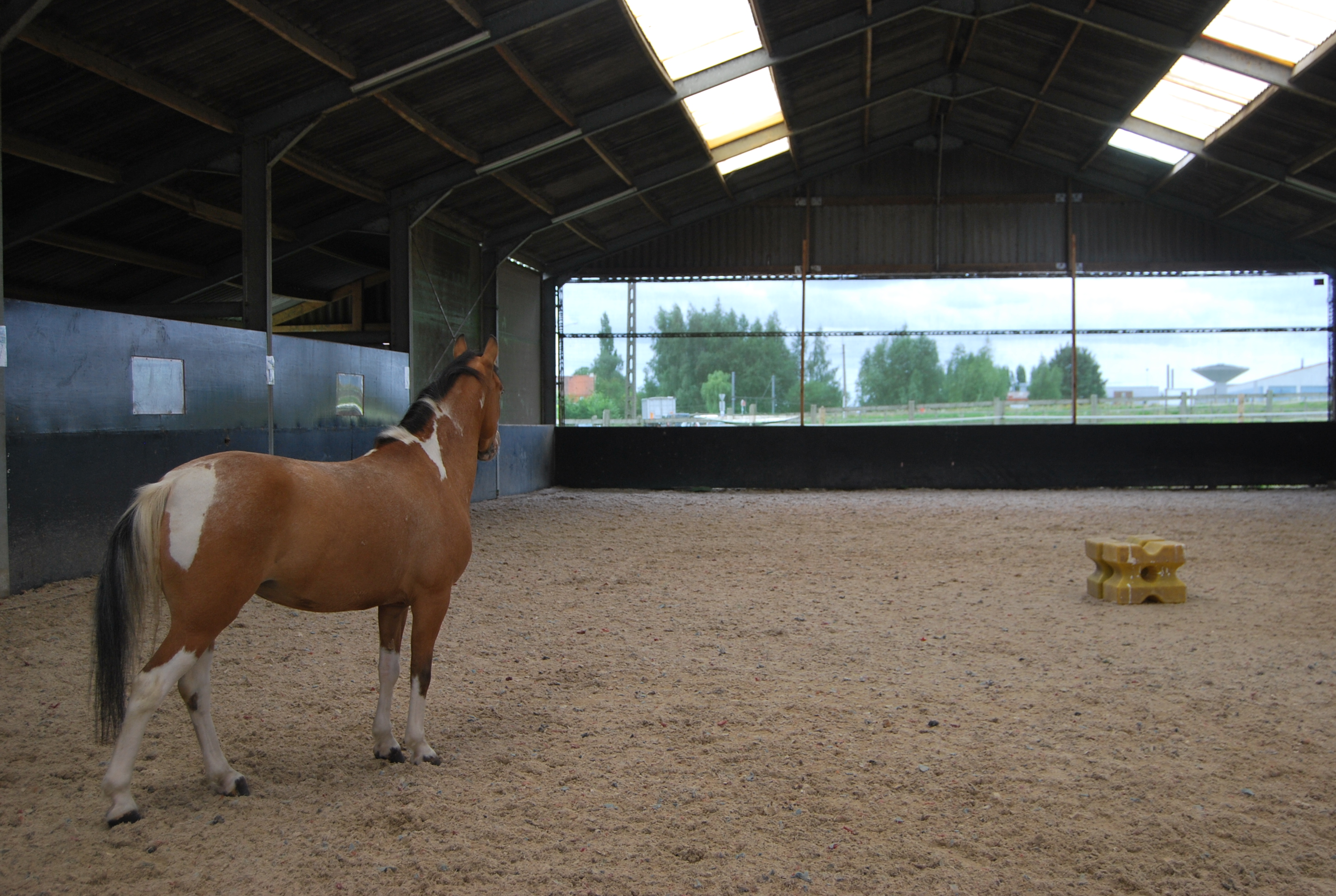 Toutes les selles des poneys volées au Centre équestre dEstaimpuis -  LAvenir