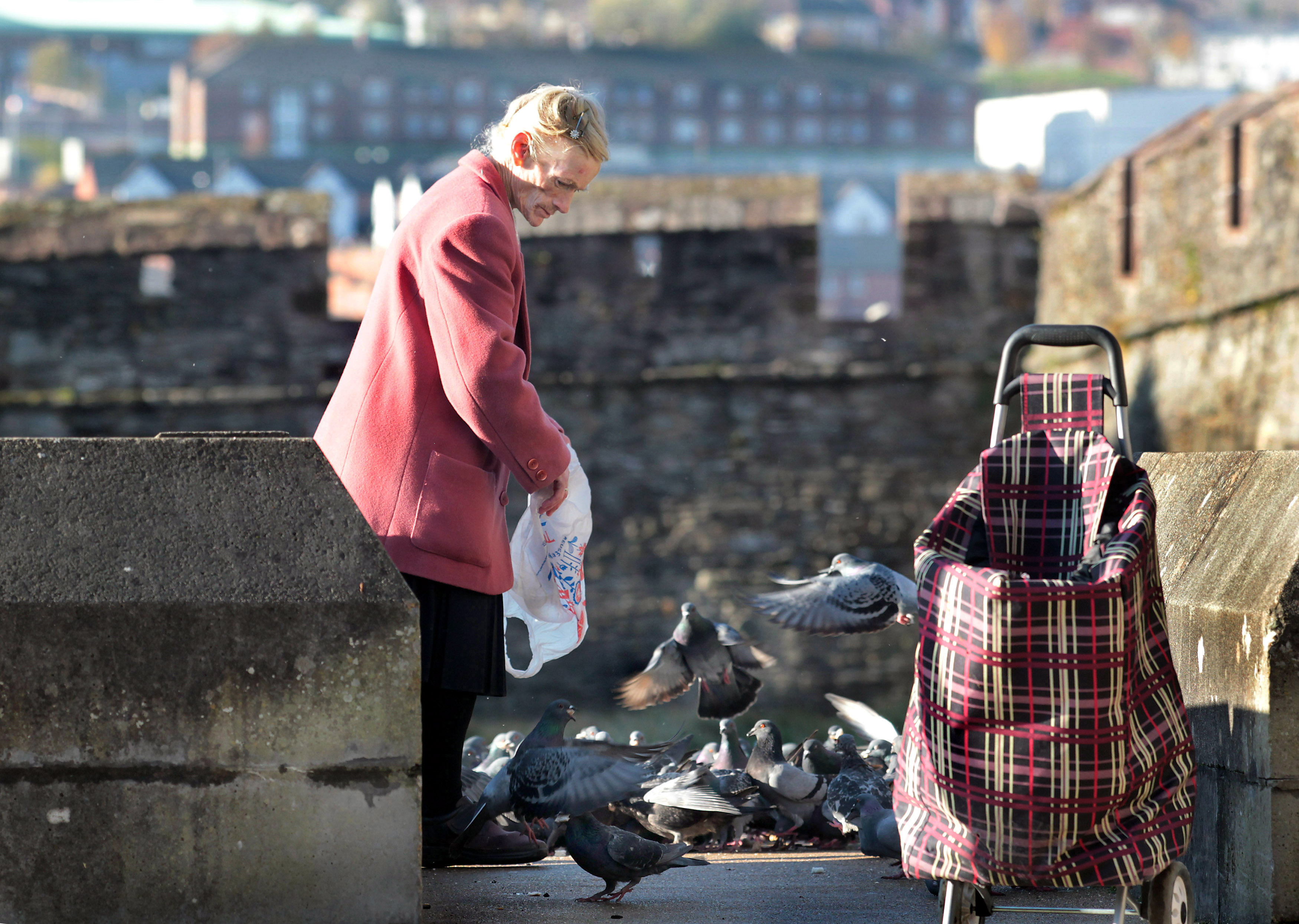 Scary Pigeon Lady