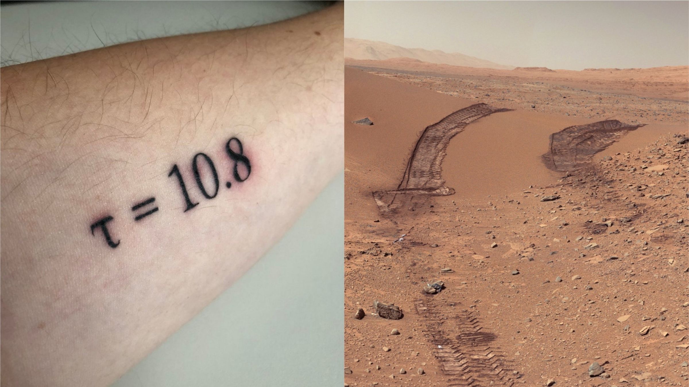 Rover Tattoos The Mars Rover Opportunity's Final Science