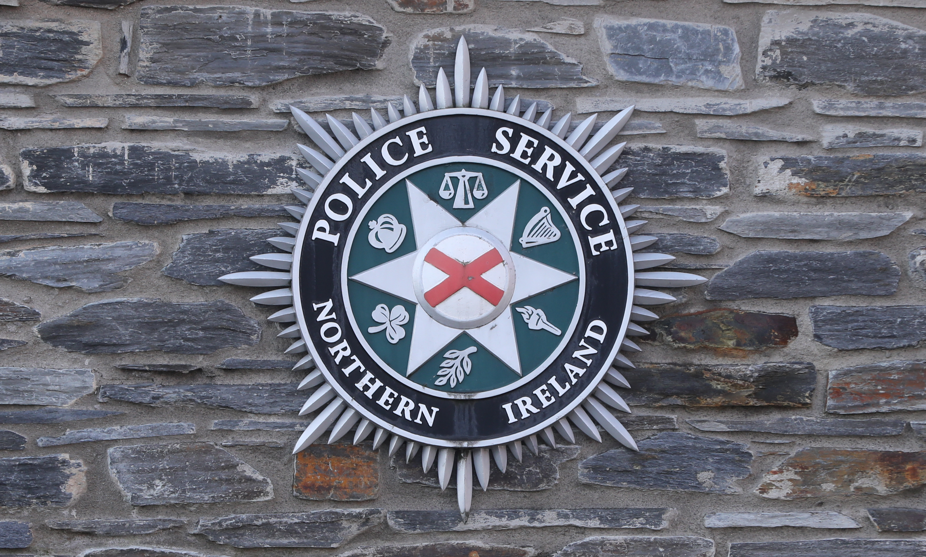 Man dragged from car and beaten by masked men in Co Down