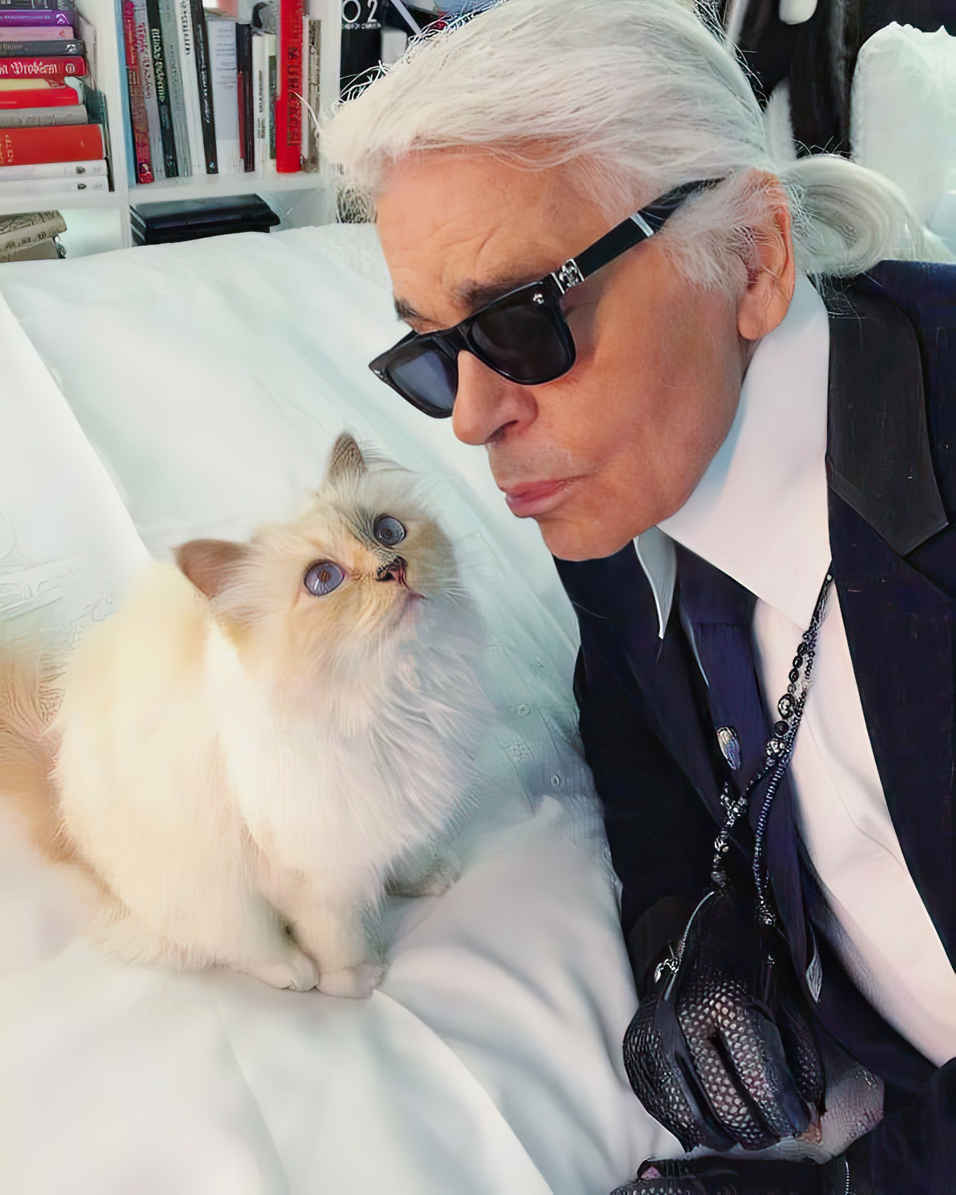 Karl Lagerfeld's cat Choupette isn't a party animal, Karl Lagerfeld