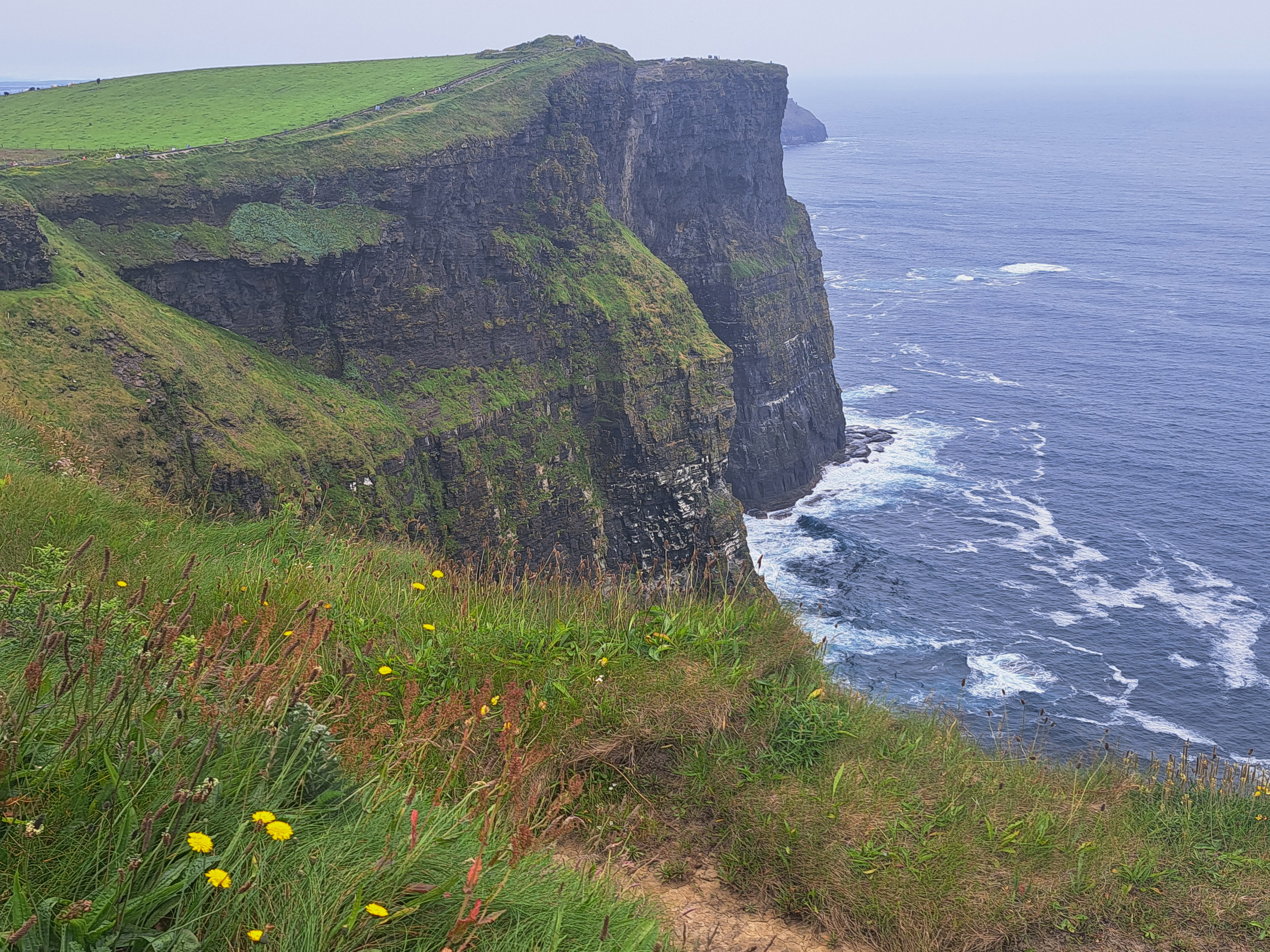 The Tin Drum by Günter Grass – the greatest novel of the 20th century – The  Irish Times