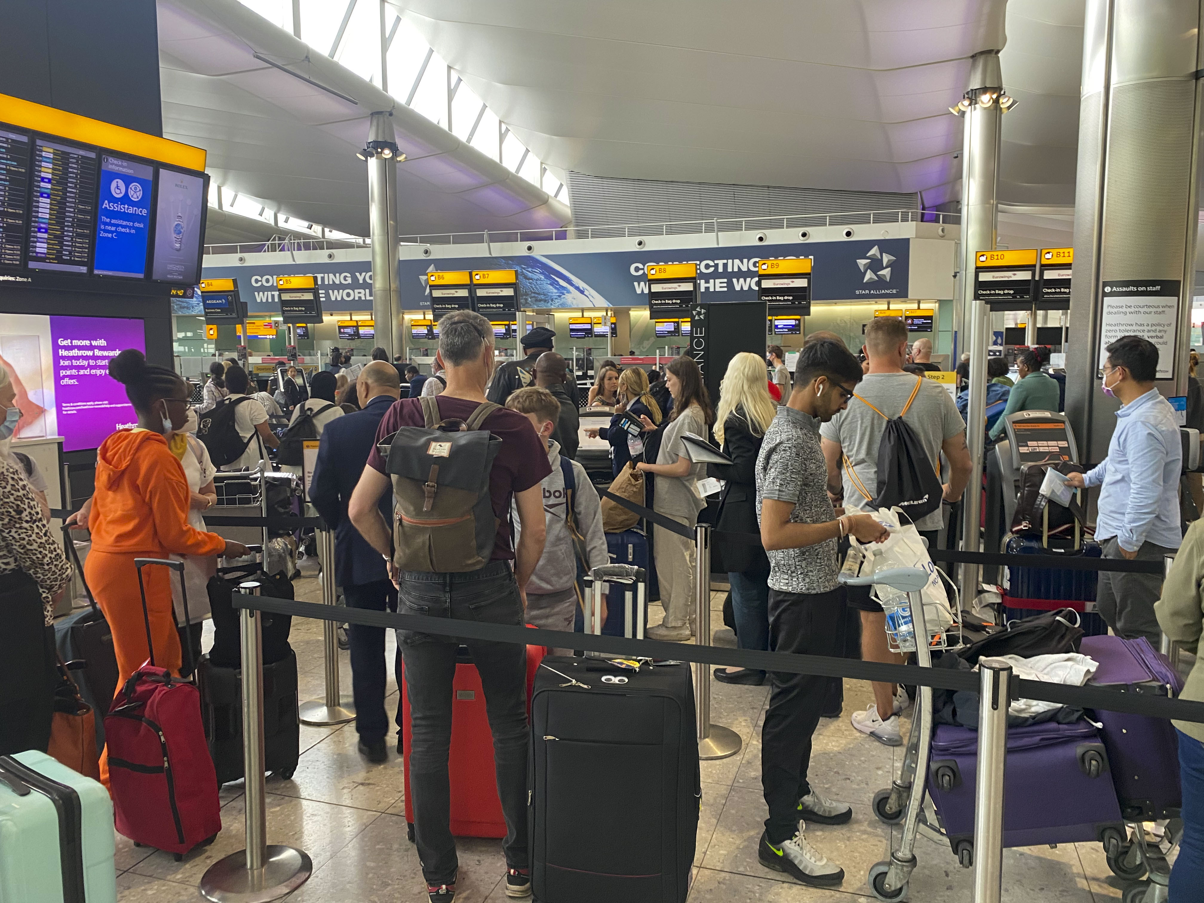 Heathrow Airport Debuts Living Wall To De-Stress Passengers