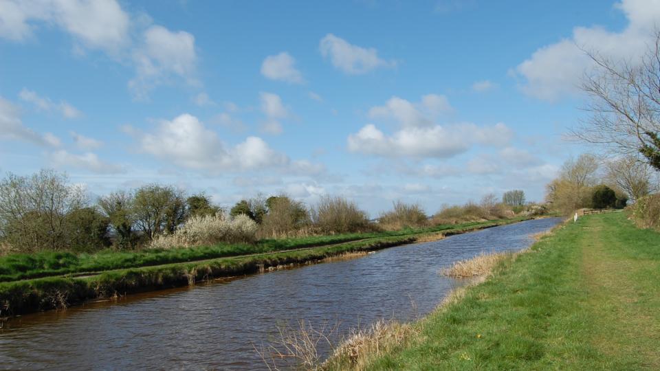 Stories along the Grand Canal Way - Visit Offaly