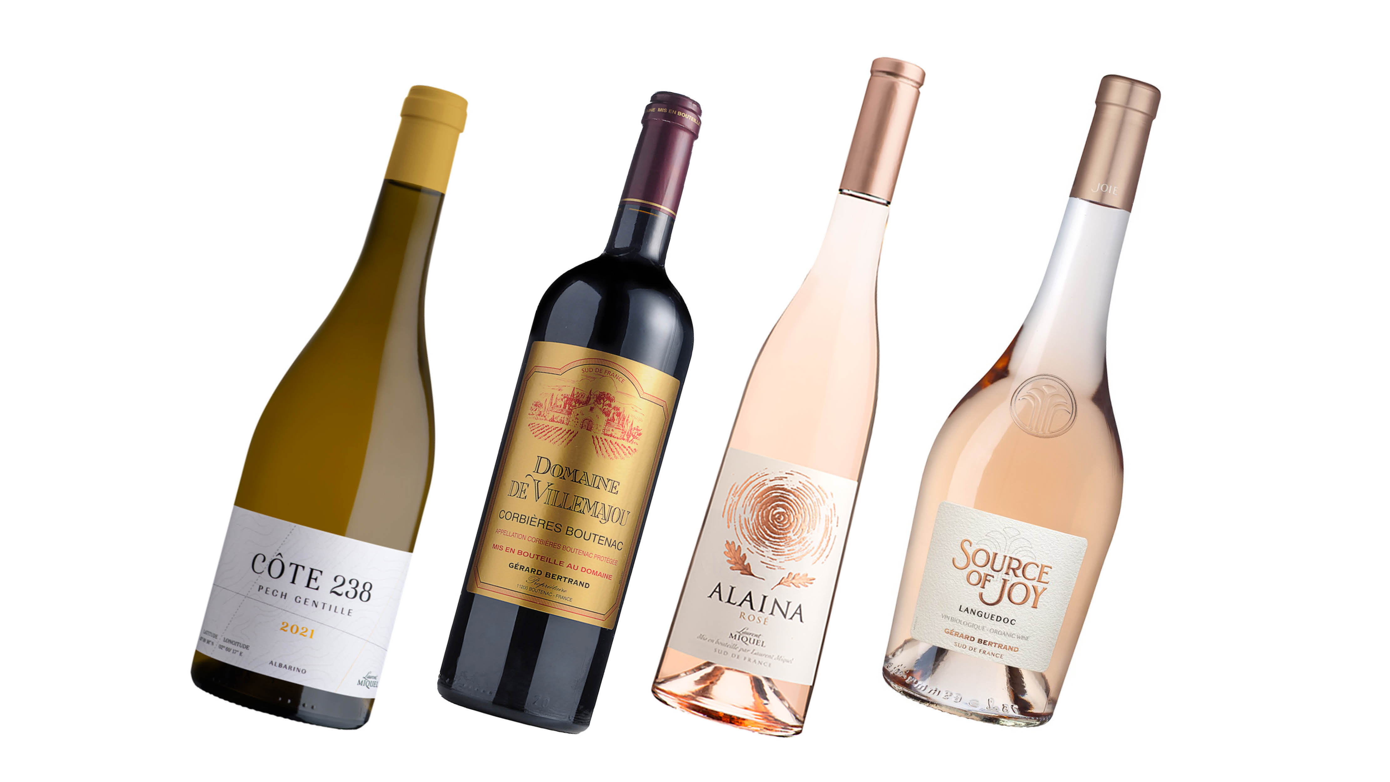 Introducing French Wines 英語版 Decoding French Wine Labels and Terms
