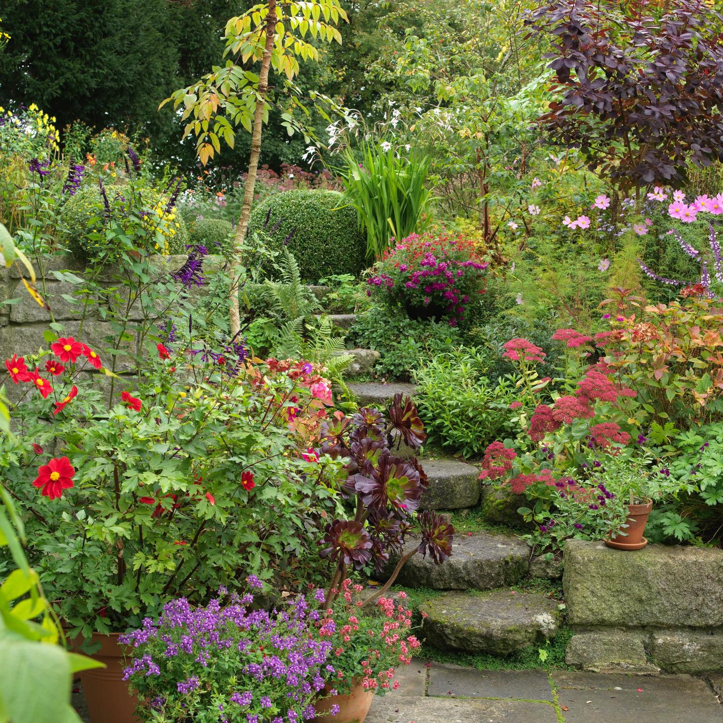 The best gardens to visit in Ireland this summer – The Irish Times