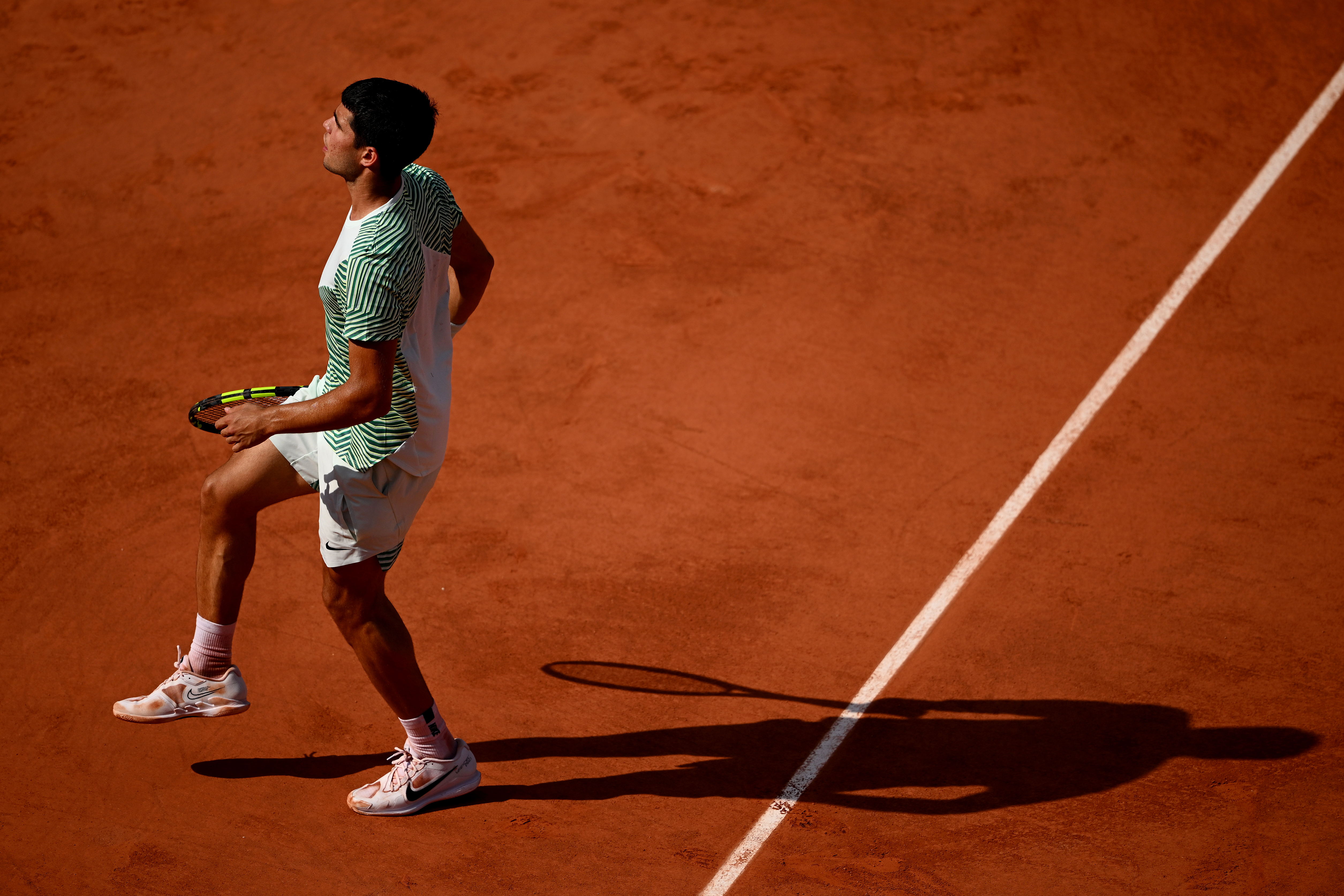 Djokovic beats cramping Alcaraz to reach French Open final, News