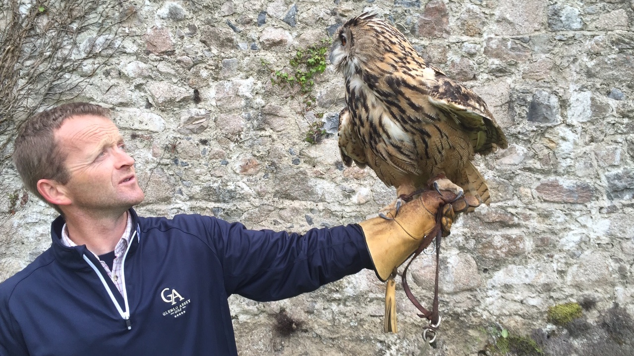 Anixter helps secure Ireland's National Bird Of Prey Centre
