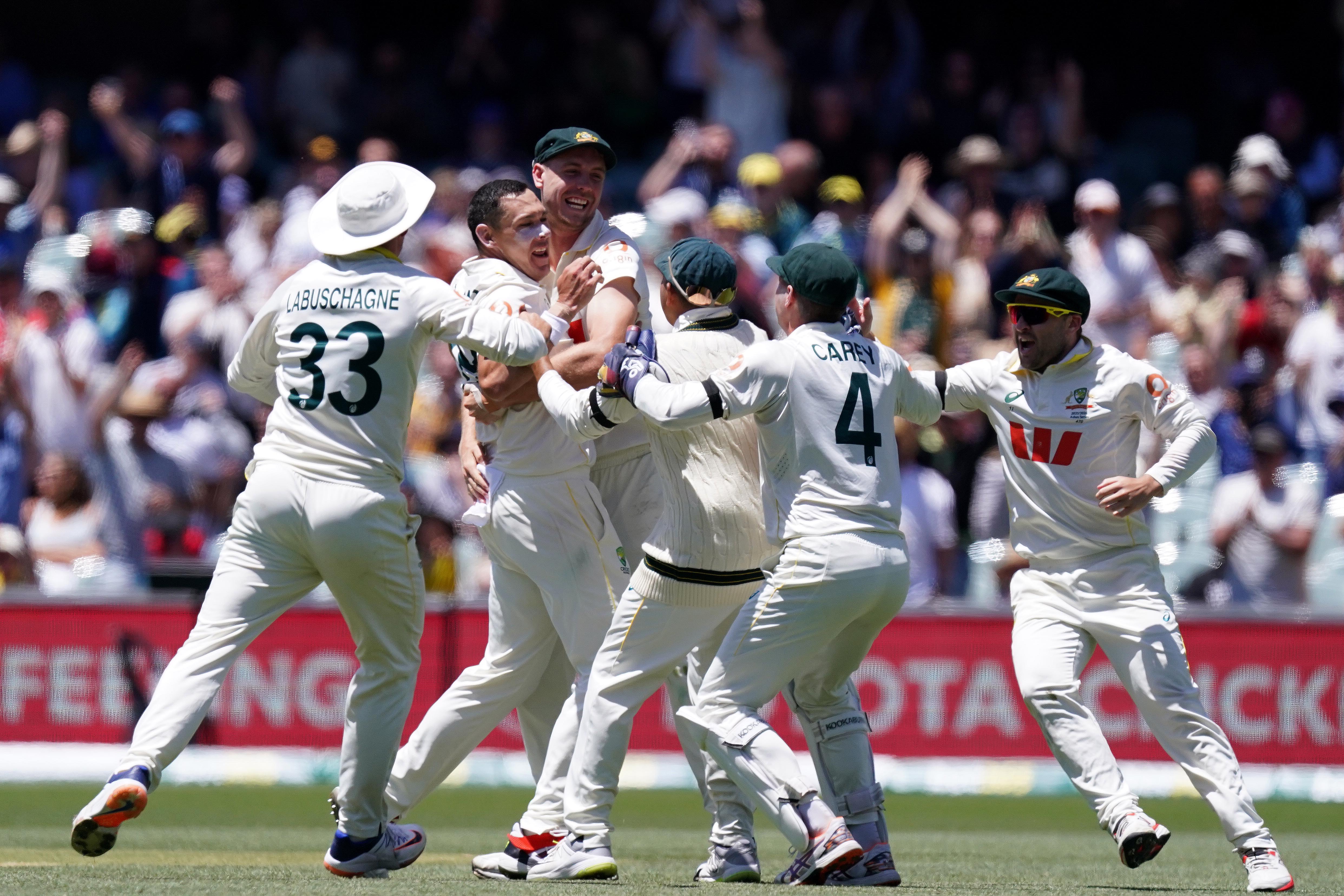 Great first impressions at the NY stadium : r/Cricket, image size:4967x3311