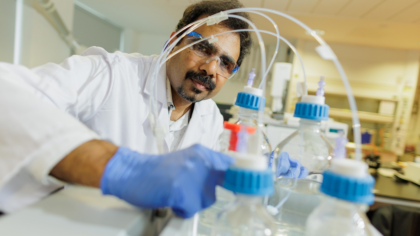 ATU set to be one of Ireland's largest multi-campus universities – The  Irish Times, image size:1440x810