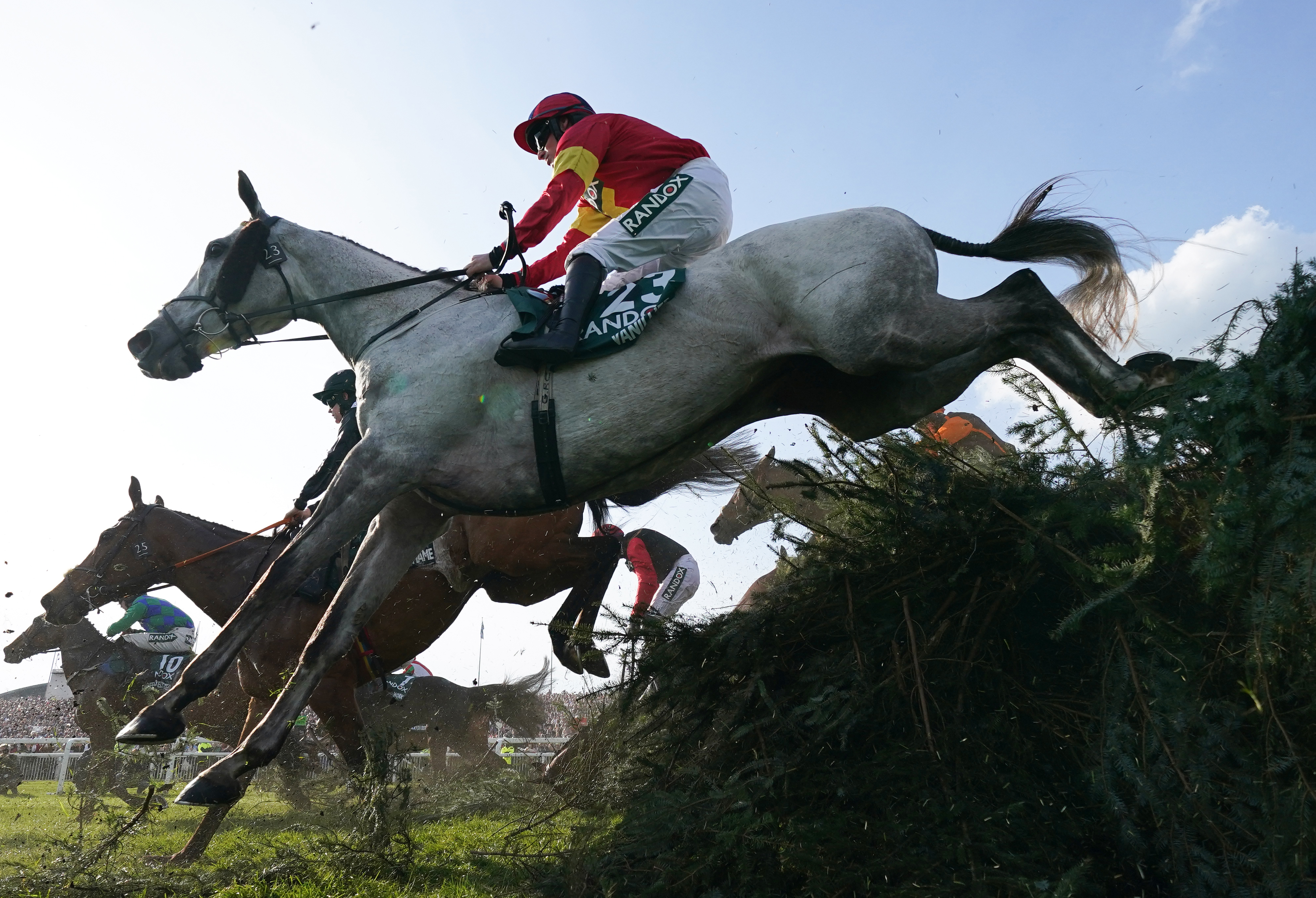 Irish-trained horses once more set to numerically dominate Aintree Grand  National – The Irish Times