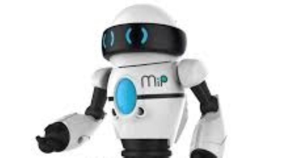 Mip store robot costco