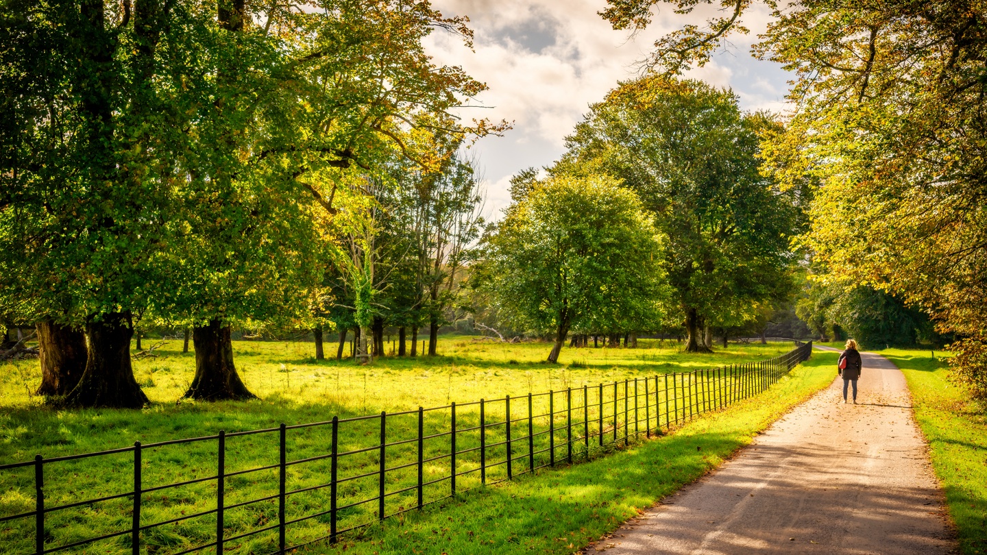 best places to live in ireland for young families