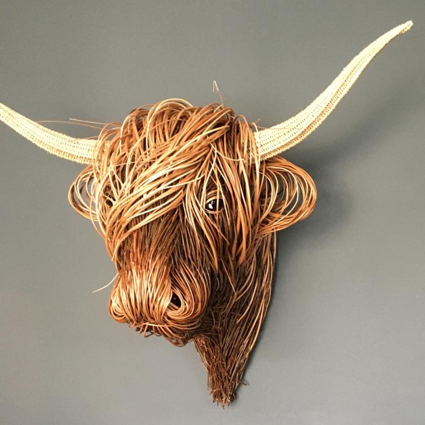 50 Long Cow horns Crafts For artisans 