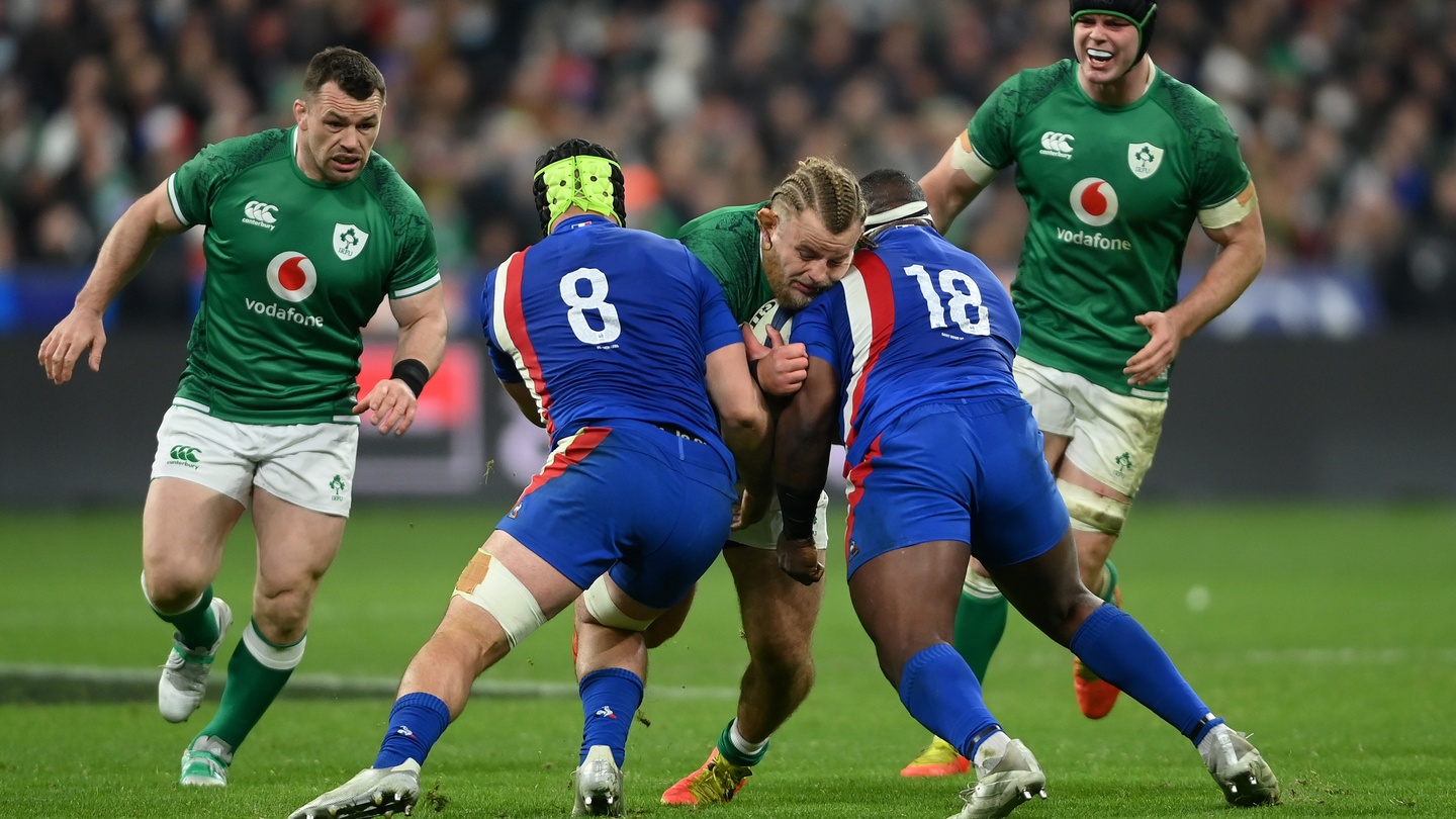 Matt Williams' hilarious reaction to Ireland fans Rugby World Cup poll -  Irish Mirror Online