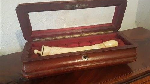 Victorian era sex toy returned to Ireland after crowdfunding bid