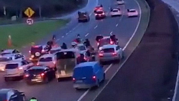 The horses and carts racing on Ireland's motorways