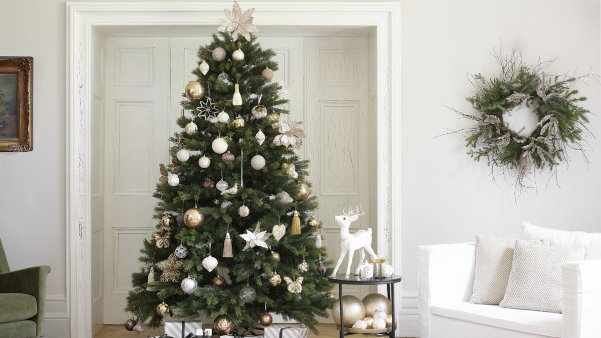 A guide to choosing the best Christmas tree for your home – The ...